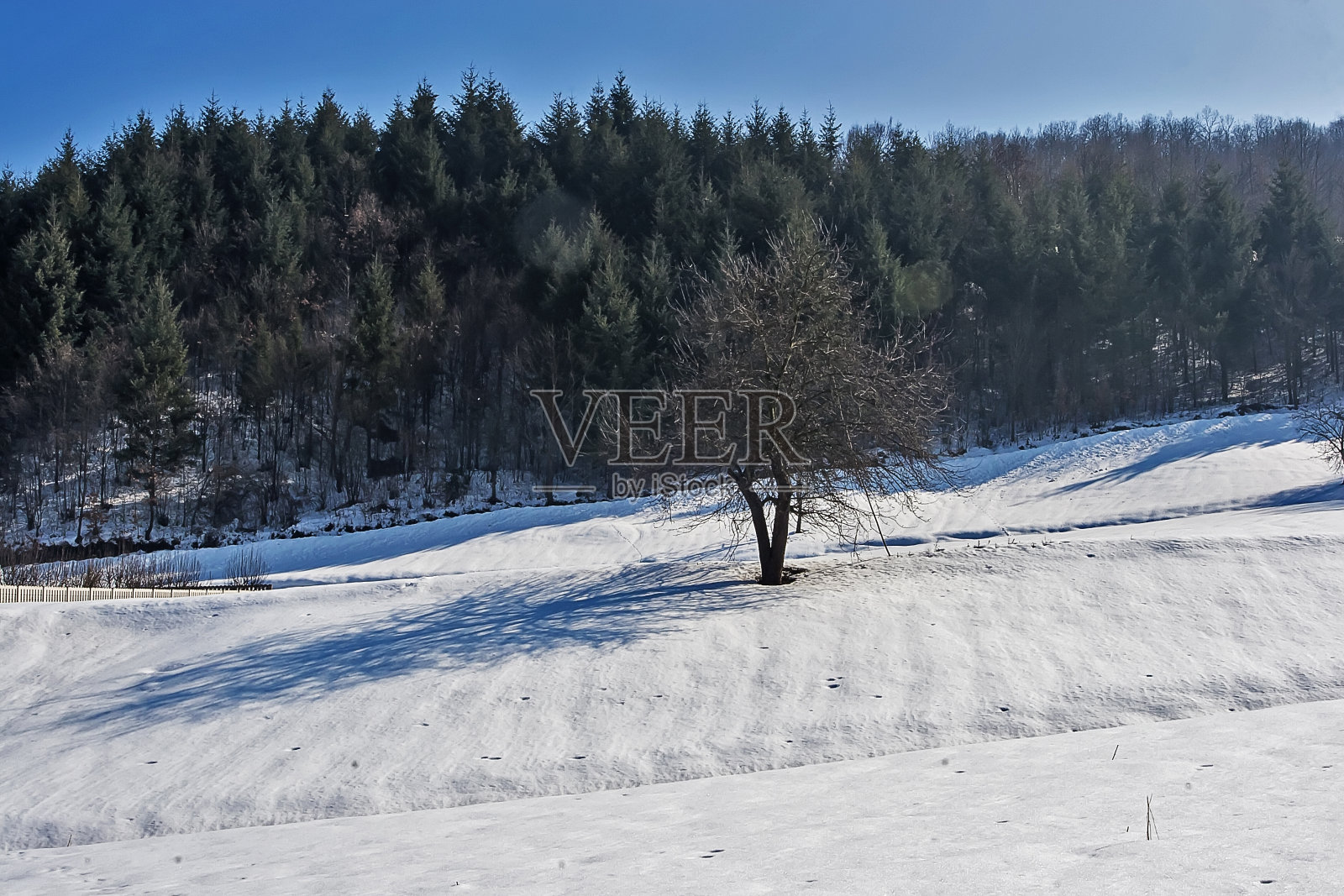 冬天的风景2照片摄影图片