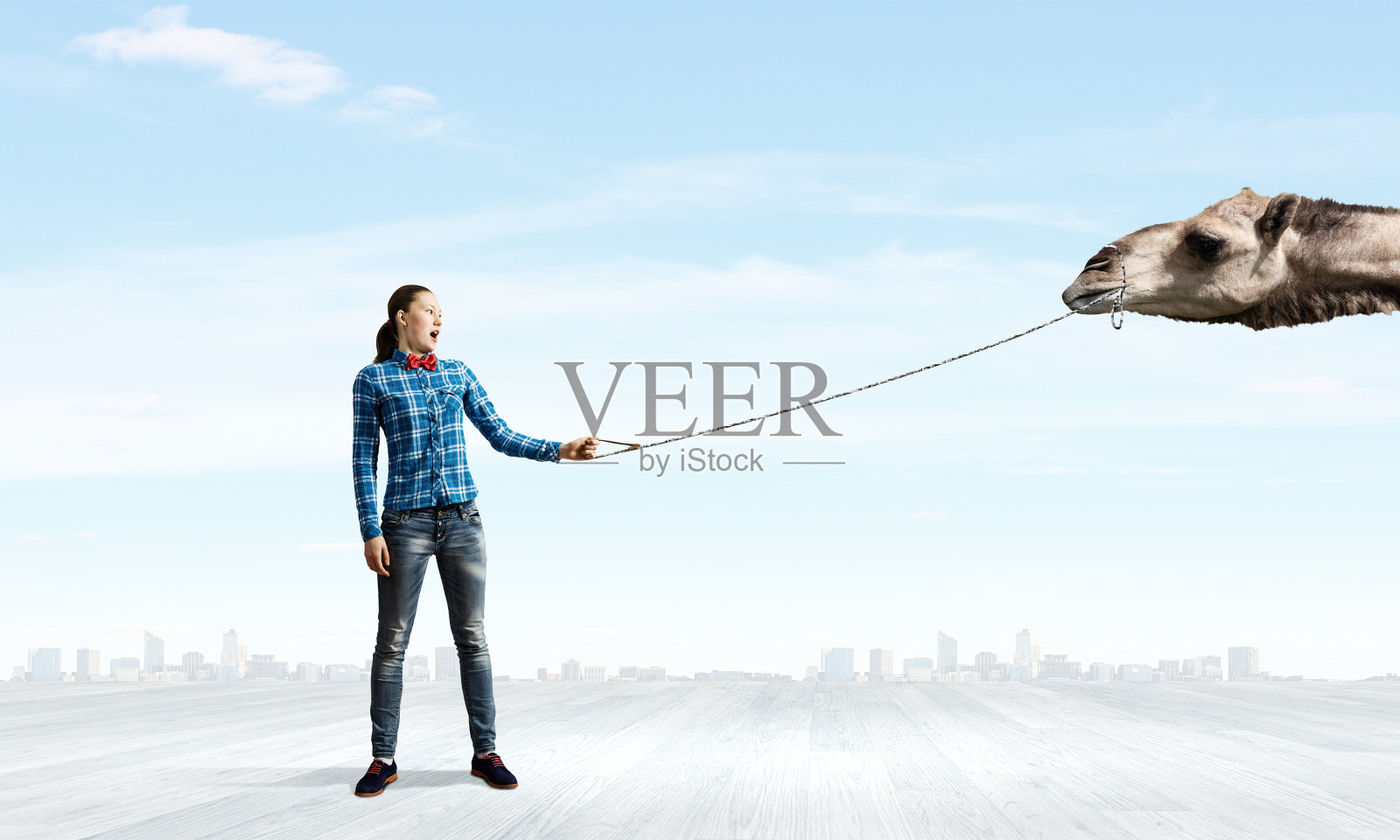 骆驼在铅照片摄影图片