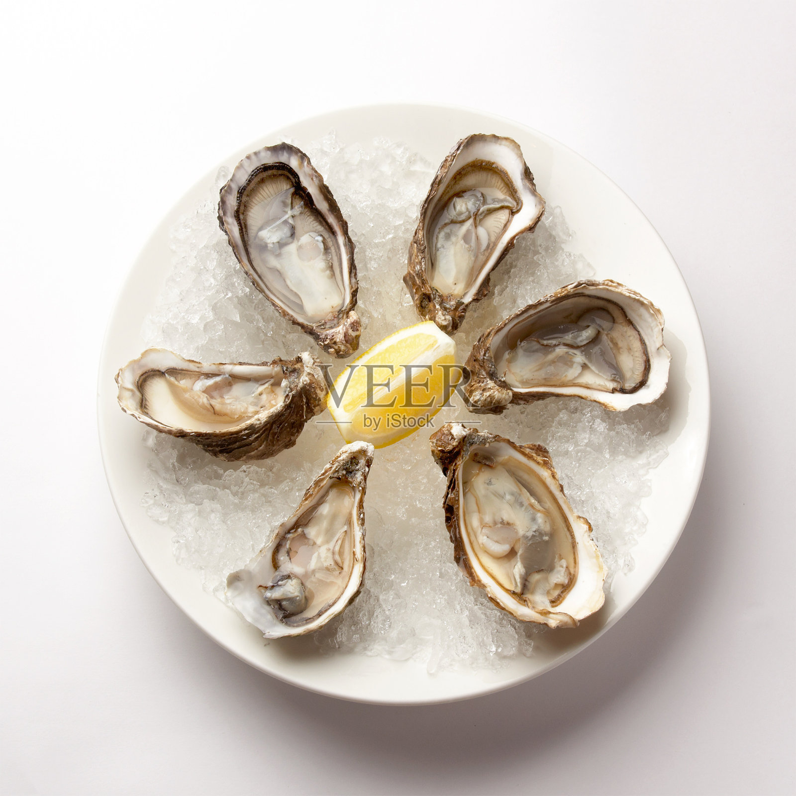 白盘子里的冰牡蛎照片摄影图片