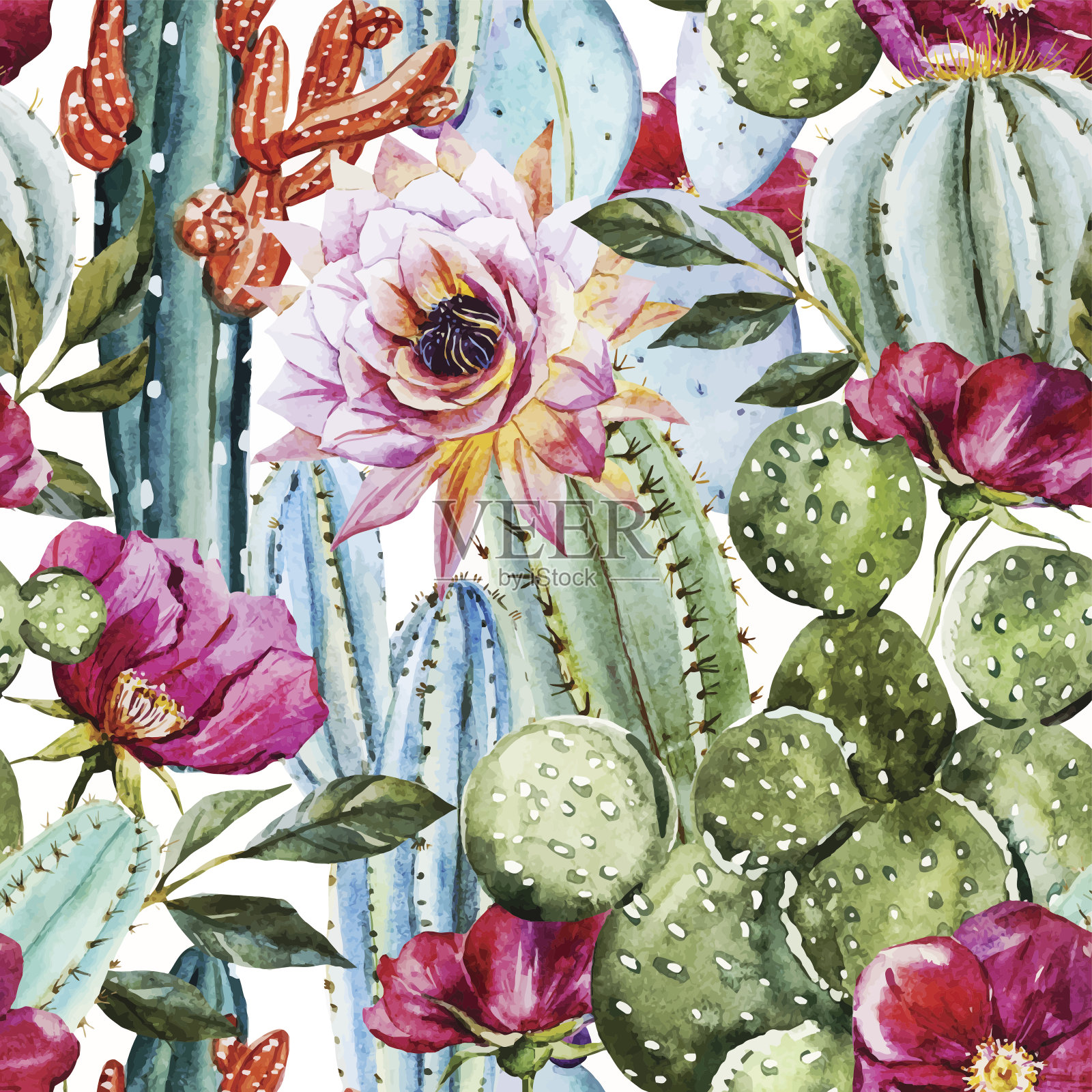 水彩仙人掌模式插画图片素材