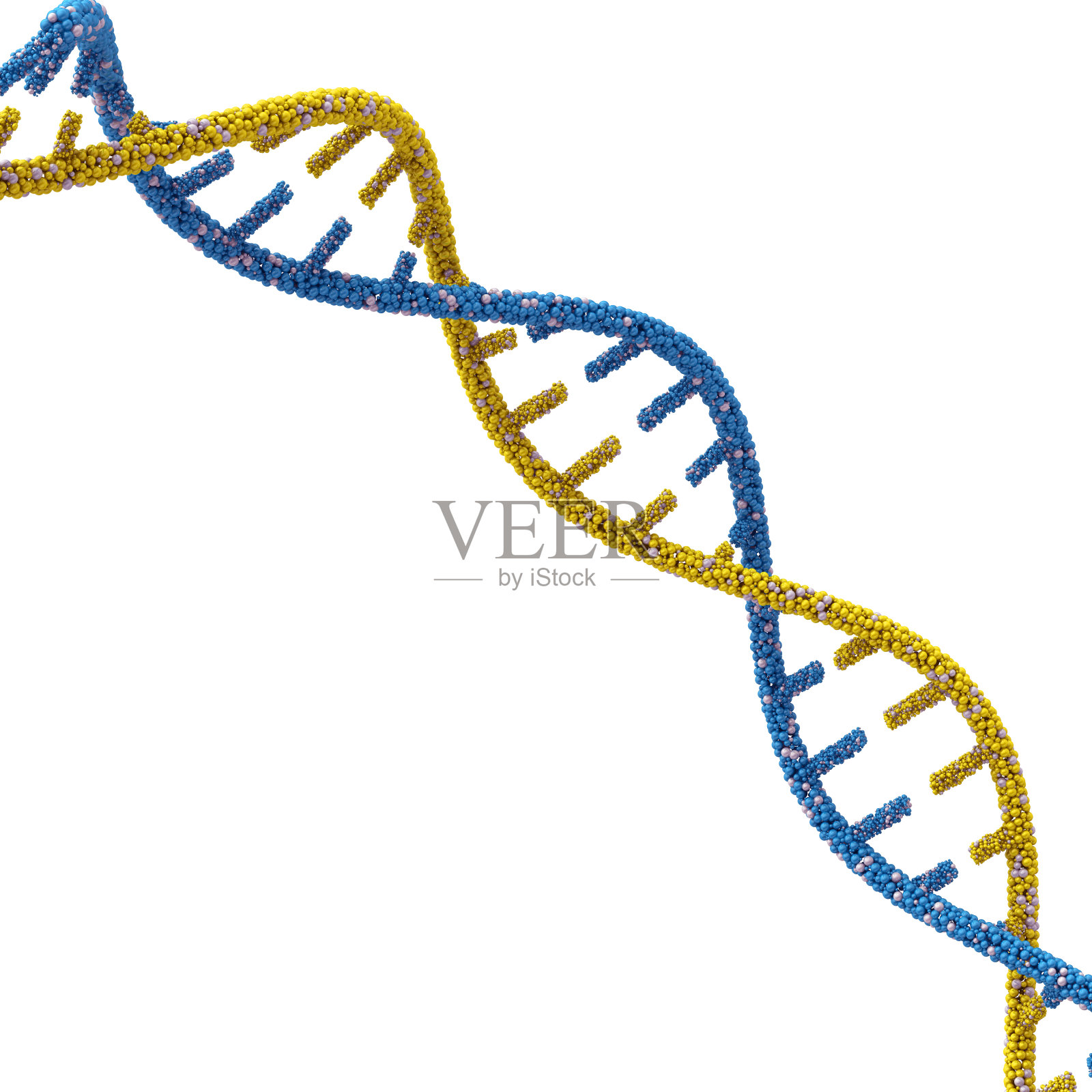 DNA分子照片摄影图片