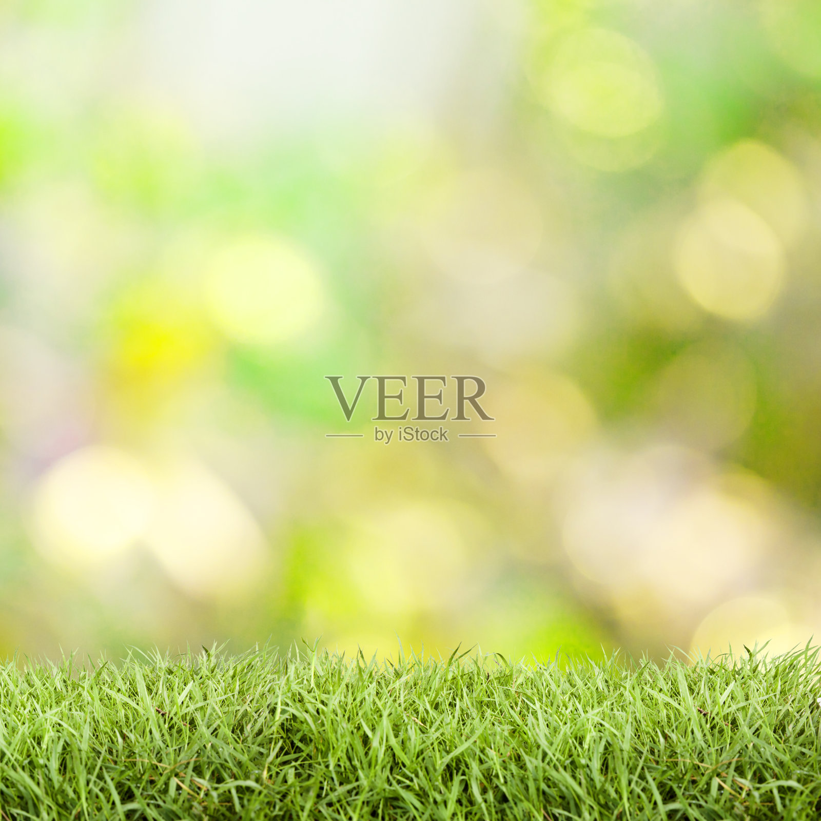 草照片摄影图片