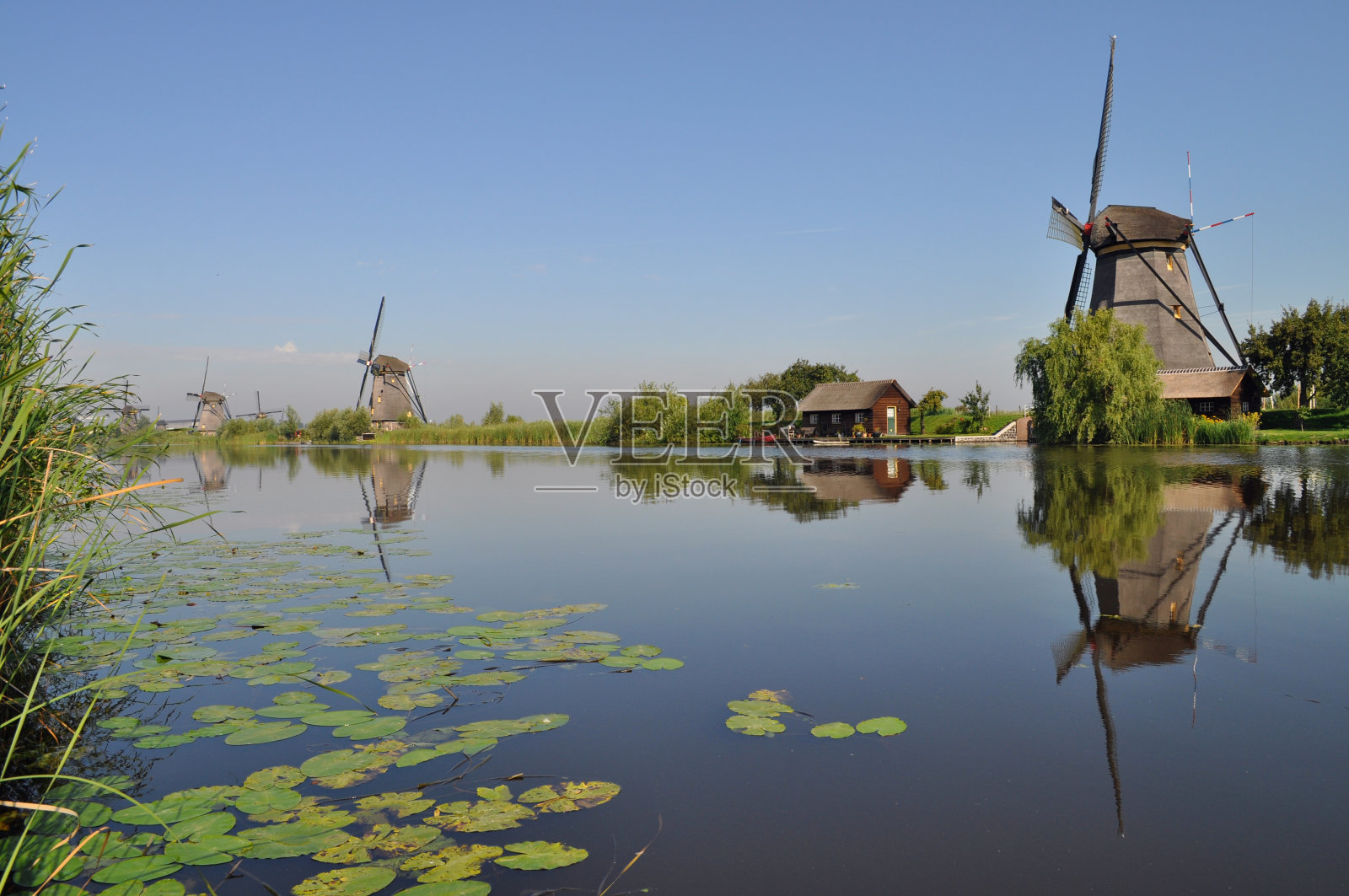 荷兰磨坊映在运河里照片摄影图片