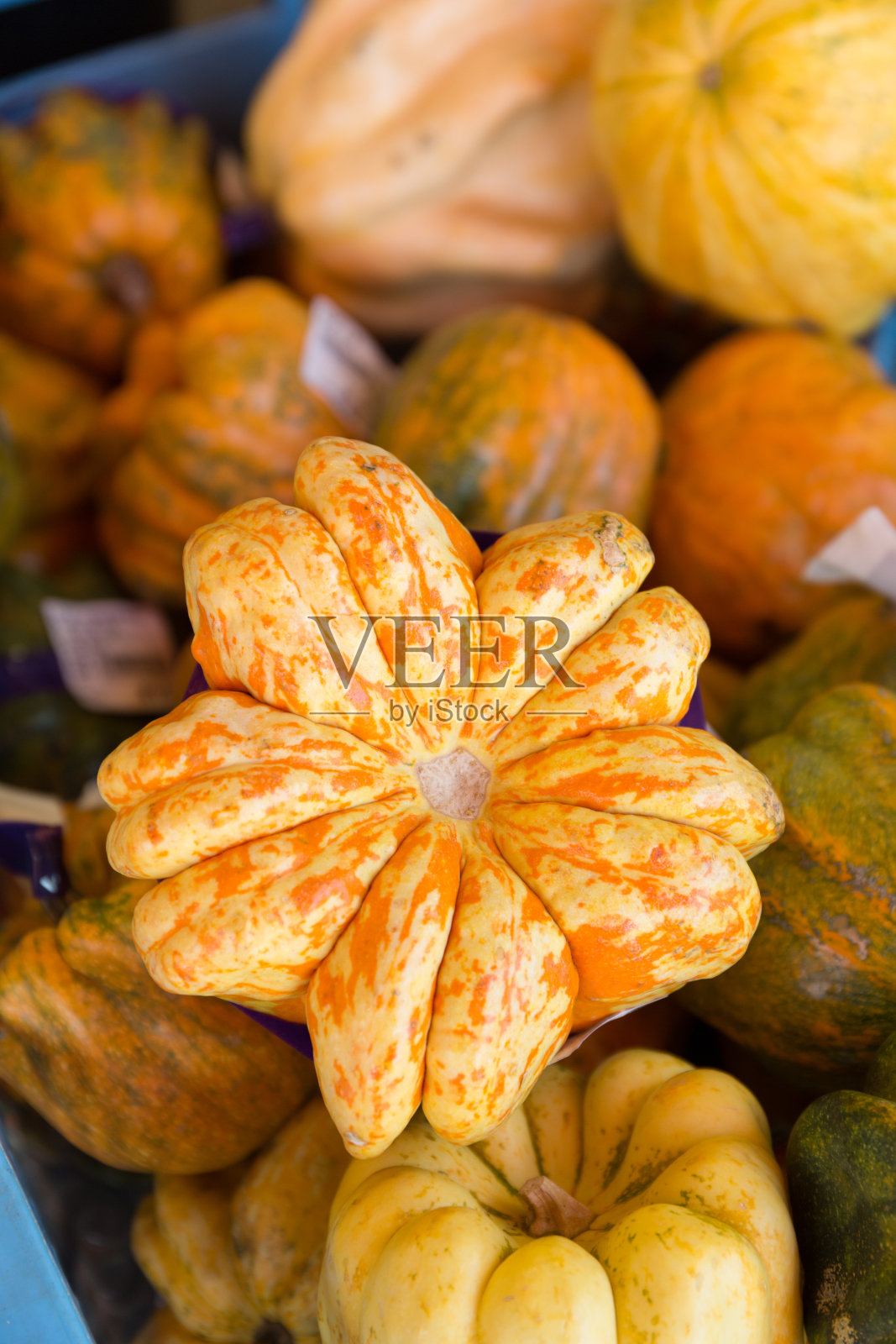 万圣节玩具南瓜照片摄影图片