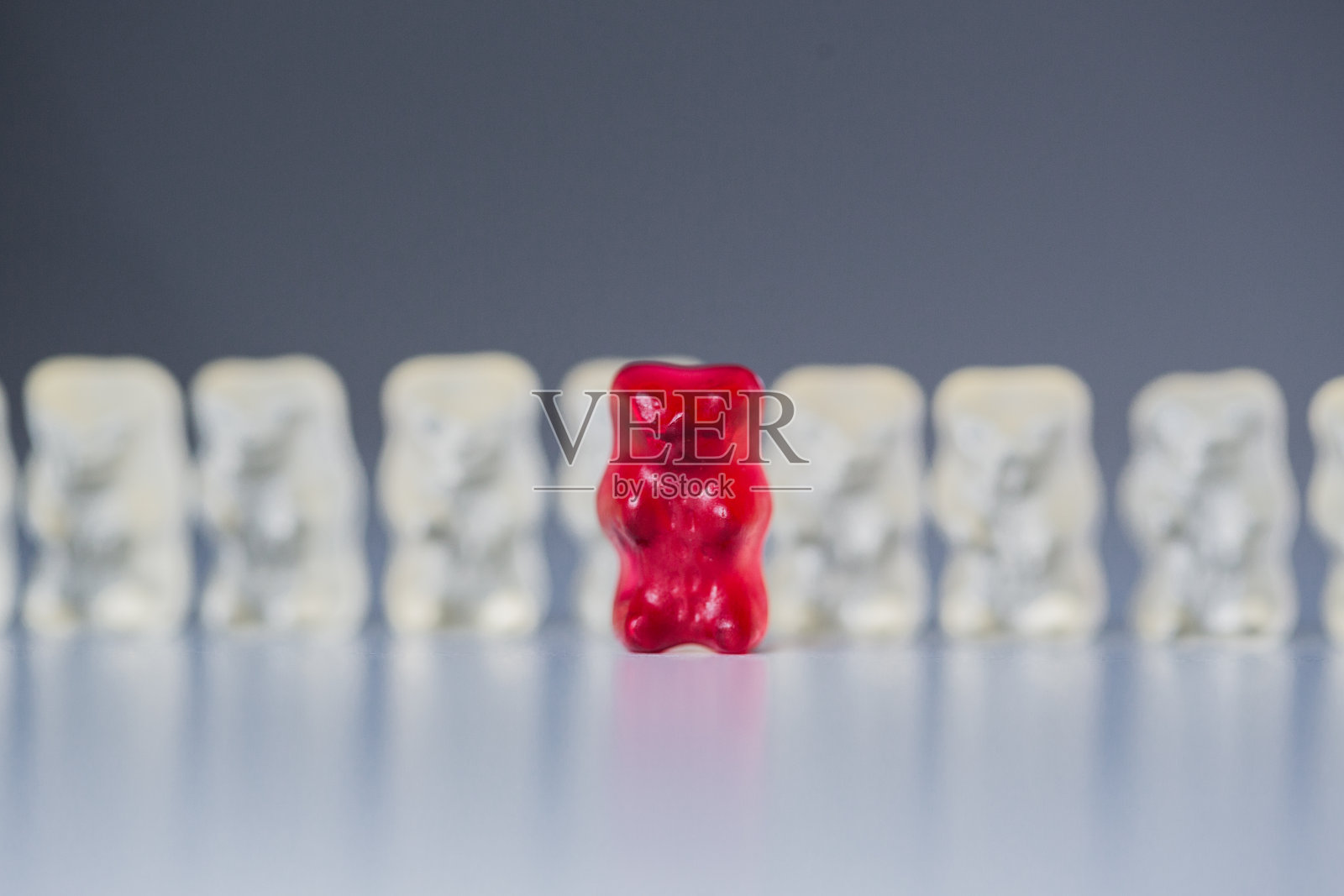 从熊群中脱颖而出照片摄影图片