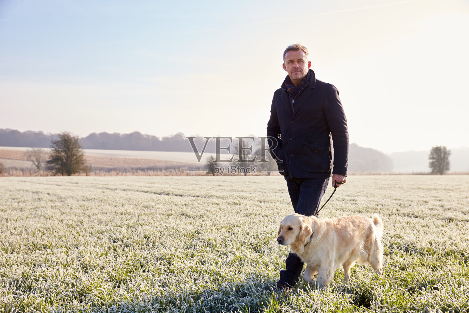 成熟的人在冰天雪地里遛狗照片摄影图片