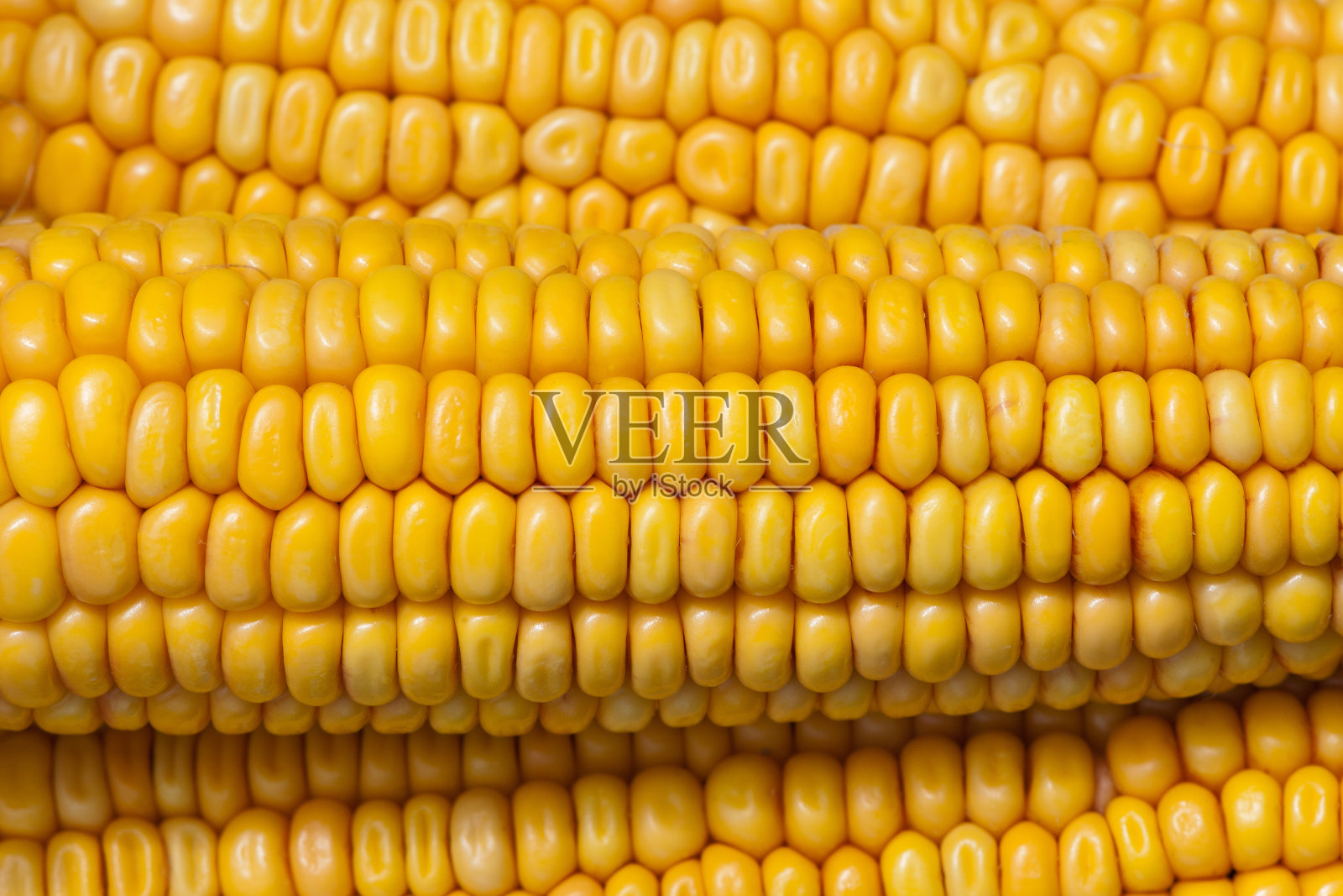 玉米的纹理照片摄影图片