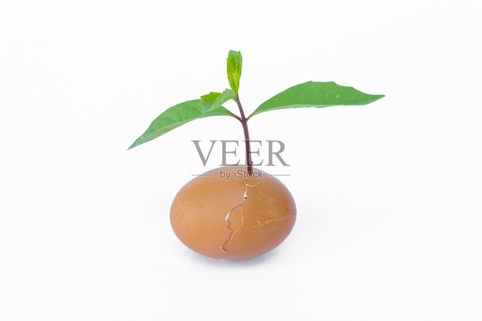 新生活概念照片摄影图片