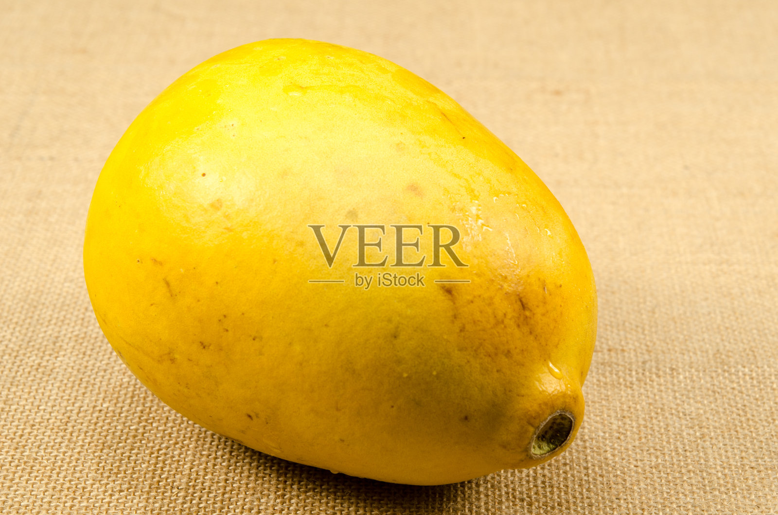 孟加拉静默照片摄影图片