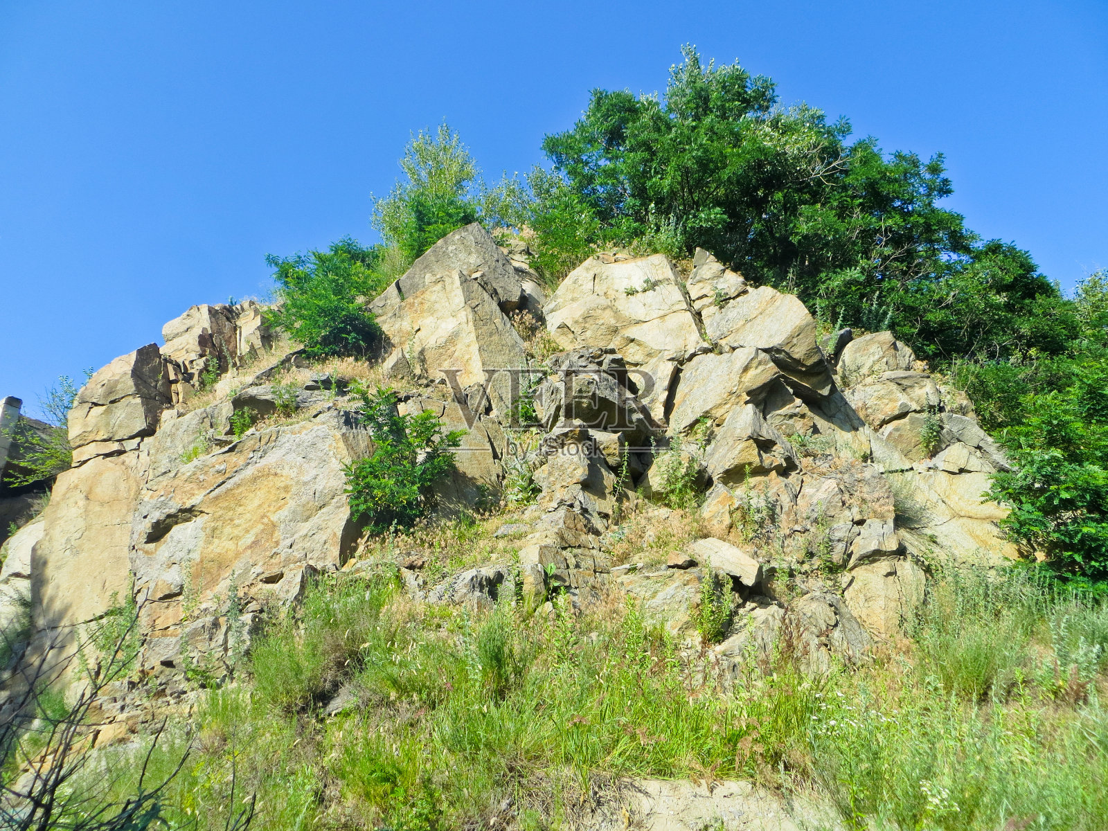 景观与岩石和树木照片摄影图片