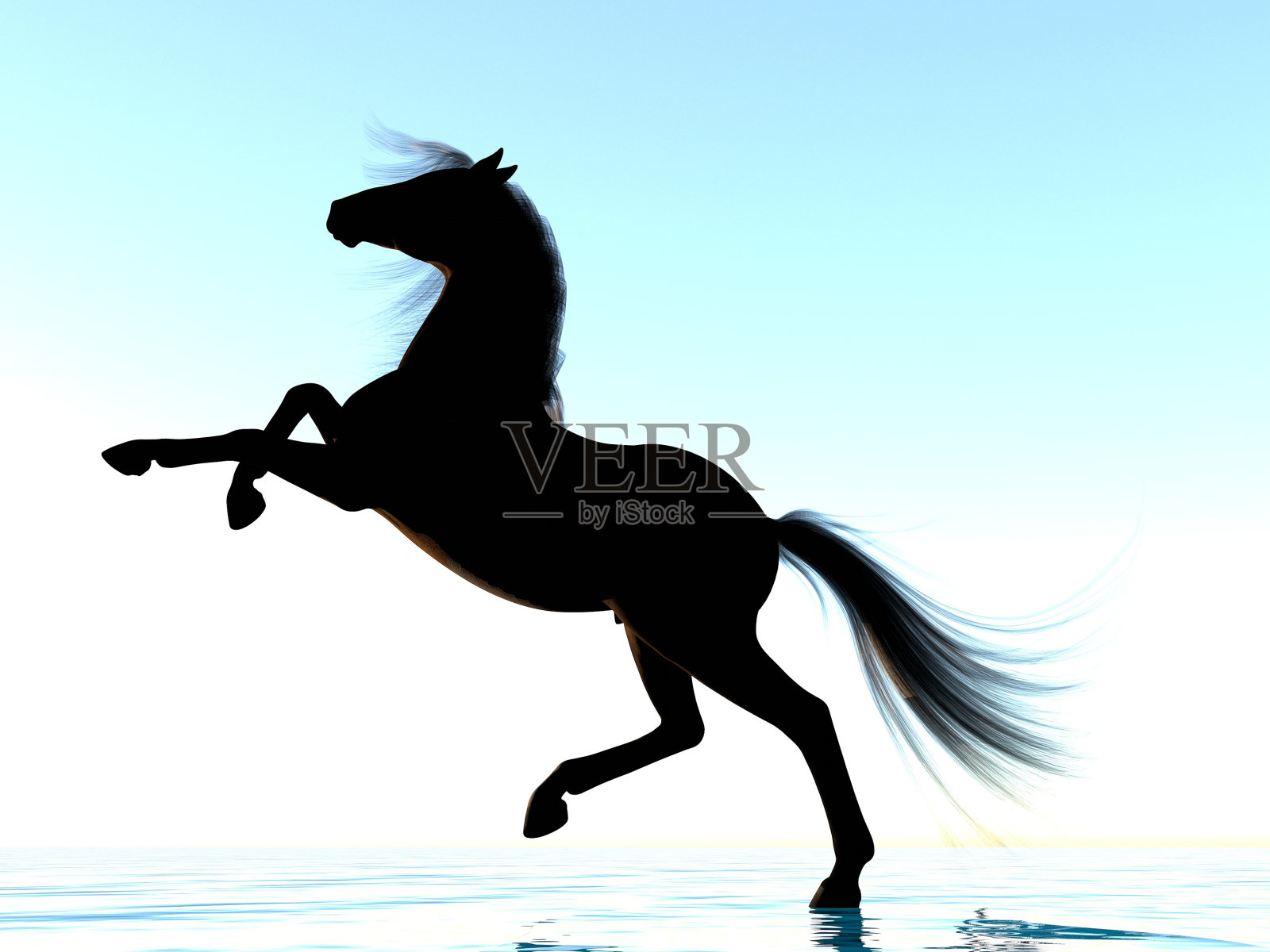 马的剪影照片摄影图片