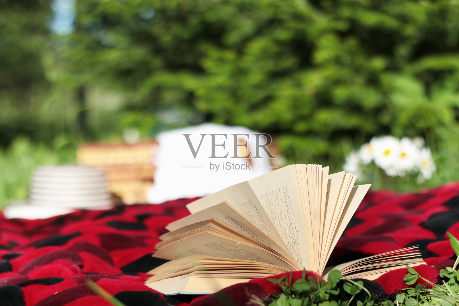 预定一个野餐和一顶格子帽子照片摄影图片