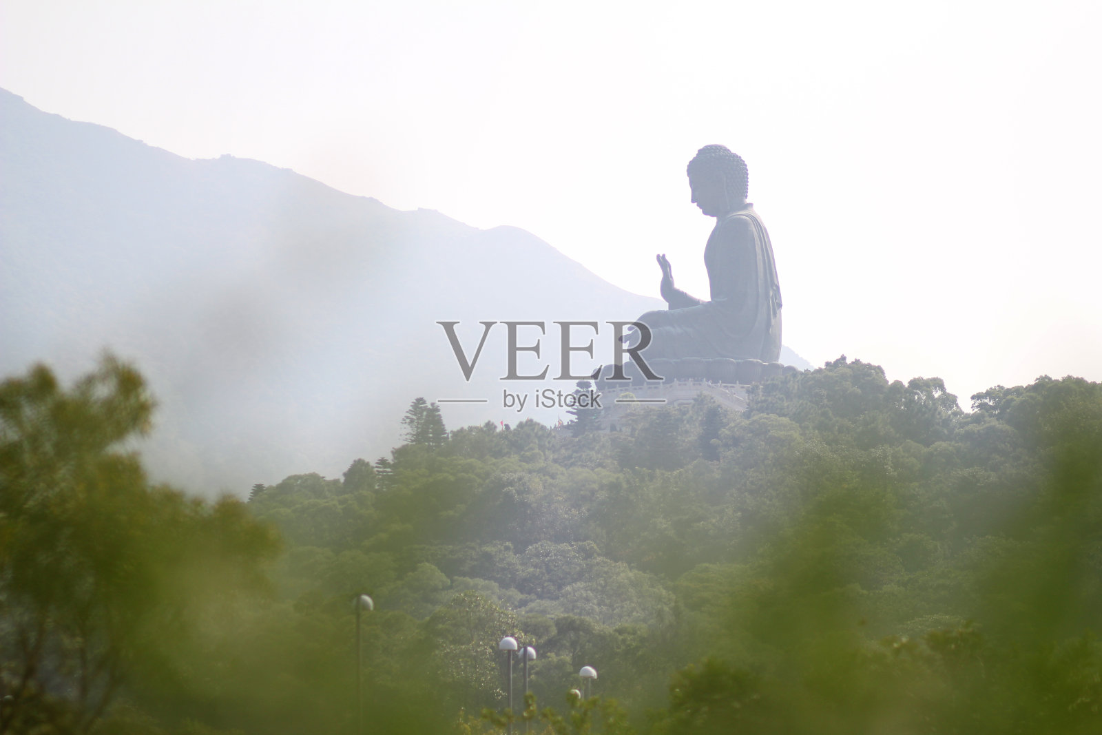 天坛大佛，宝林寺照片摄影图片