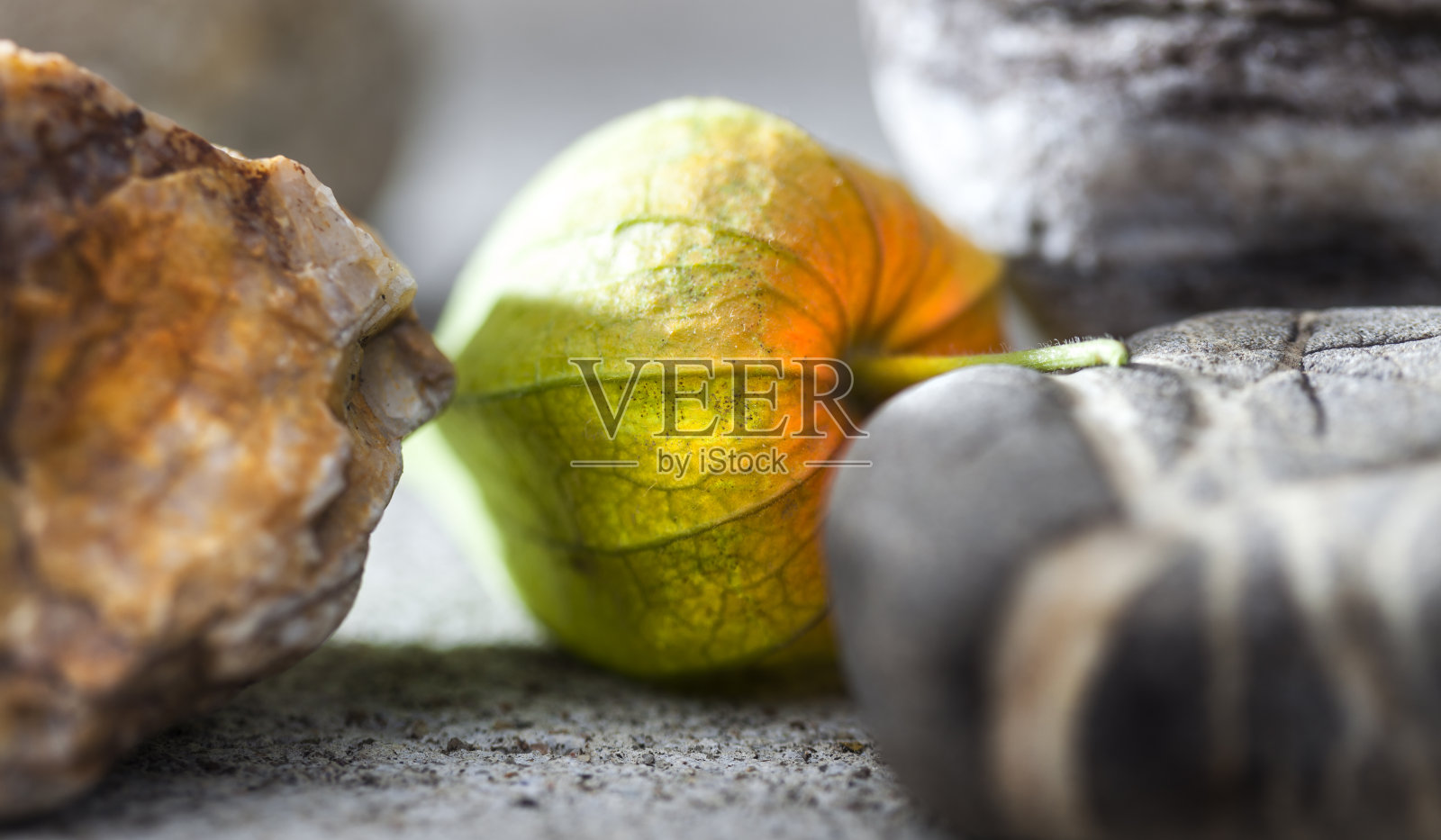 细节照片摄影图片