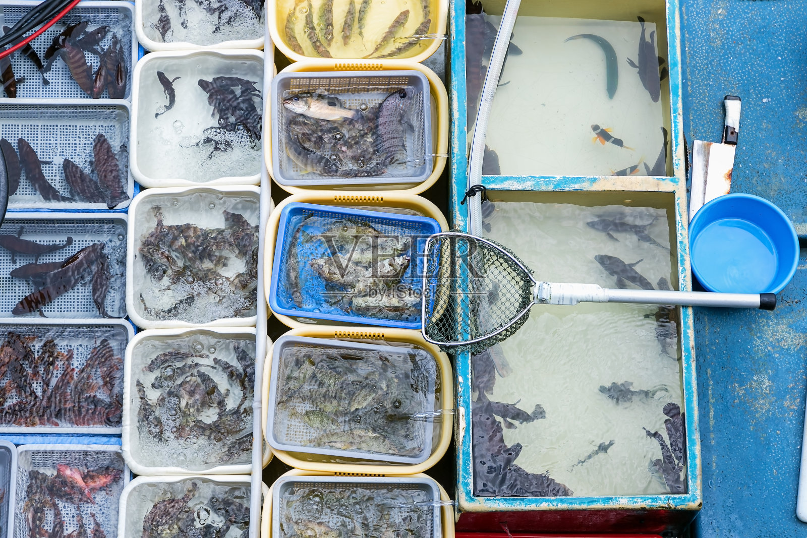 香港西贡浮鱼市场照片摄影图片