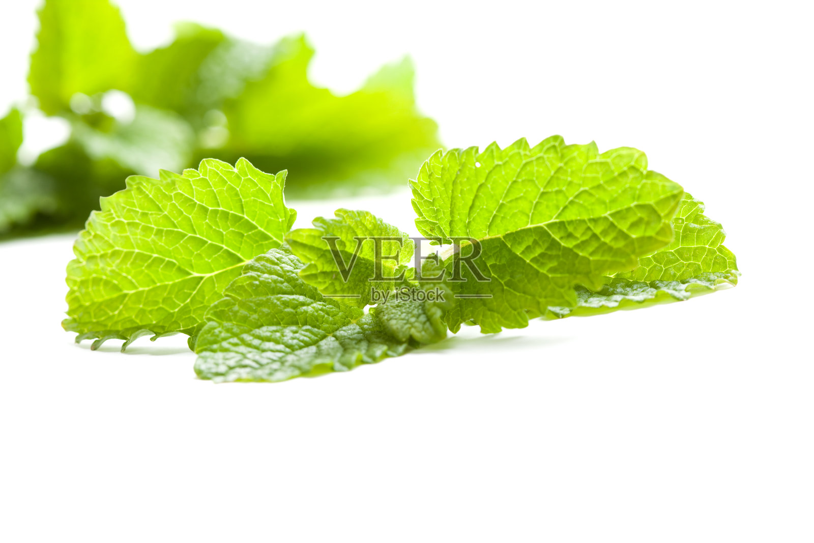 新鲜的绿色柠檬香，白色背景，孤立照片摄影图片