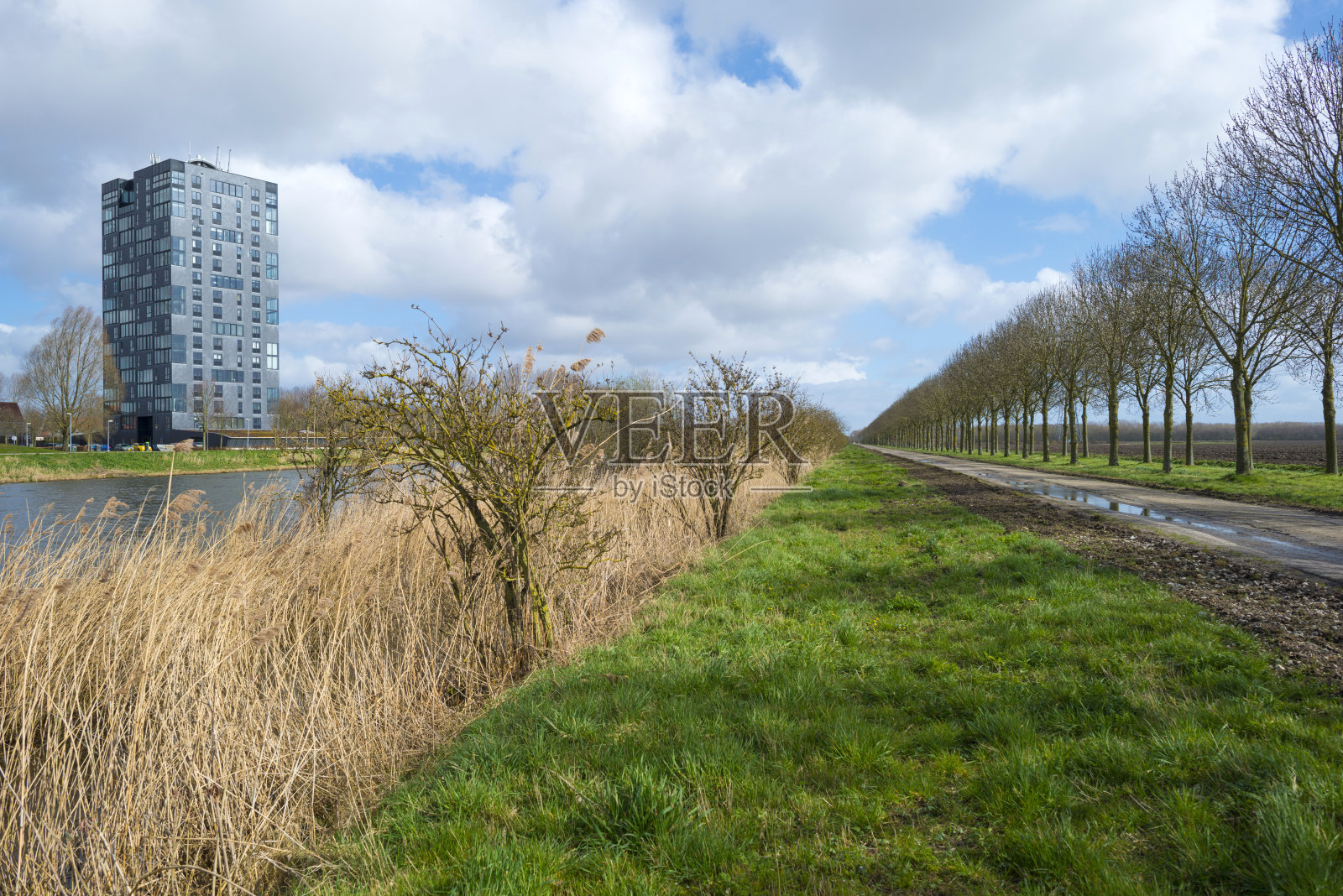 春天，沿着运河岸边建起了高楼大厦照片摄影图片