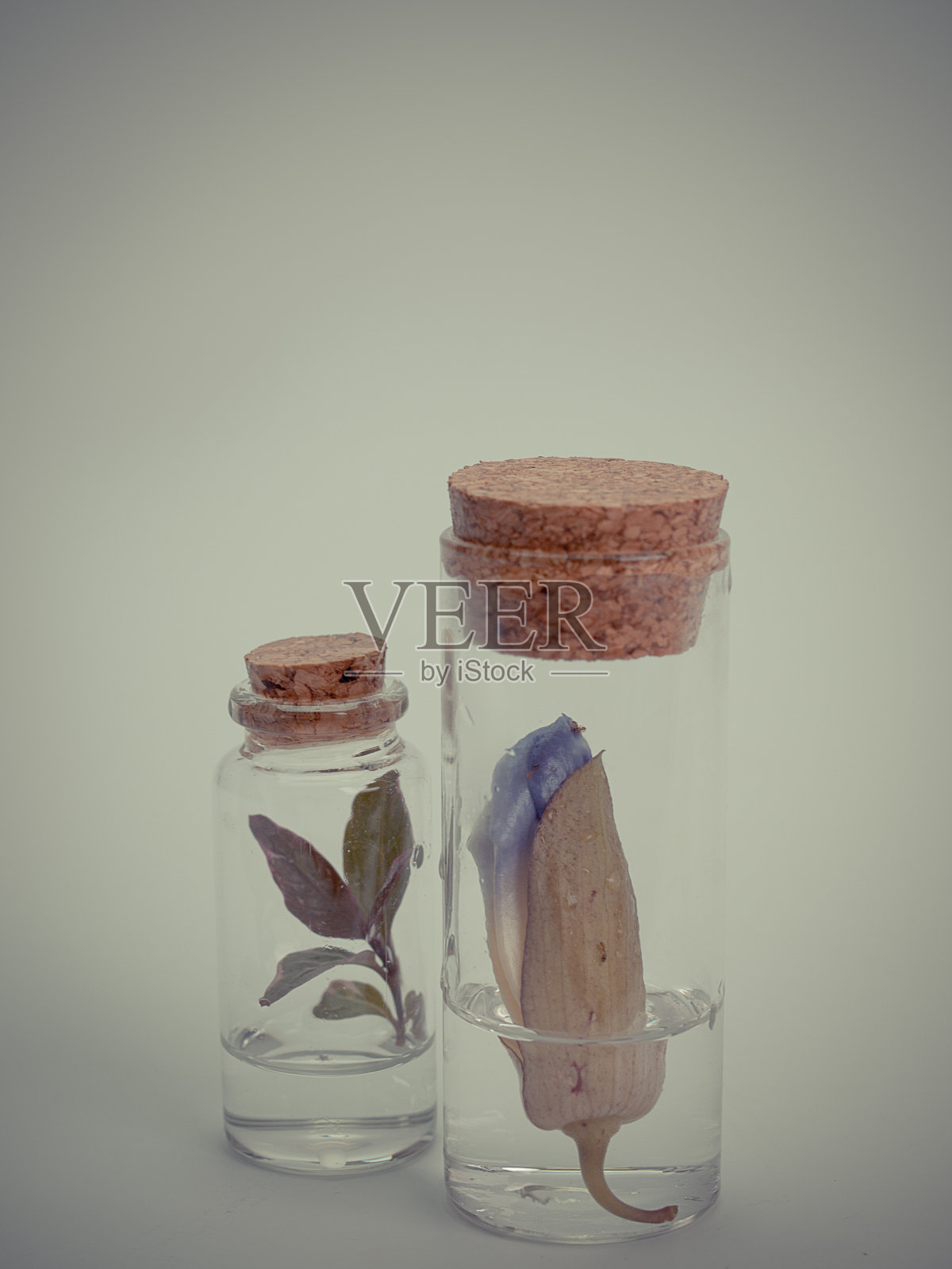 实验室设备中的厂房照片摄影图片