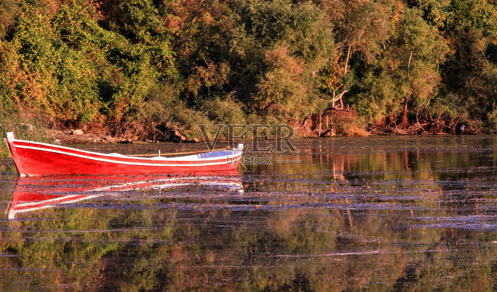 鱼船照片摄影图片