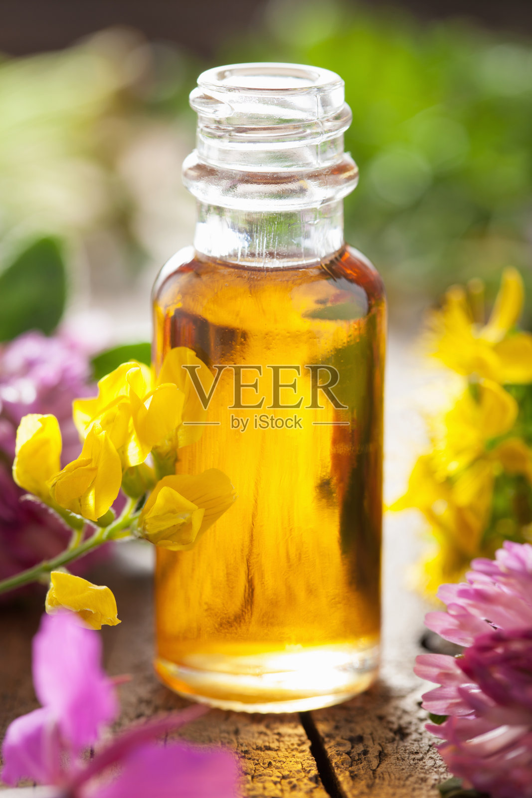 精油和药用花卉草药照片摄影图片