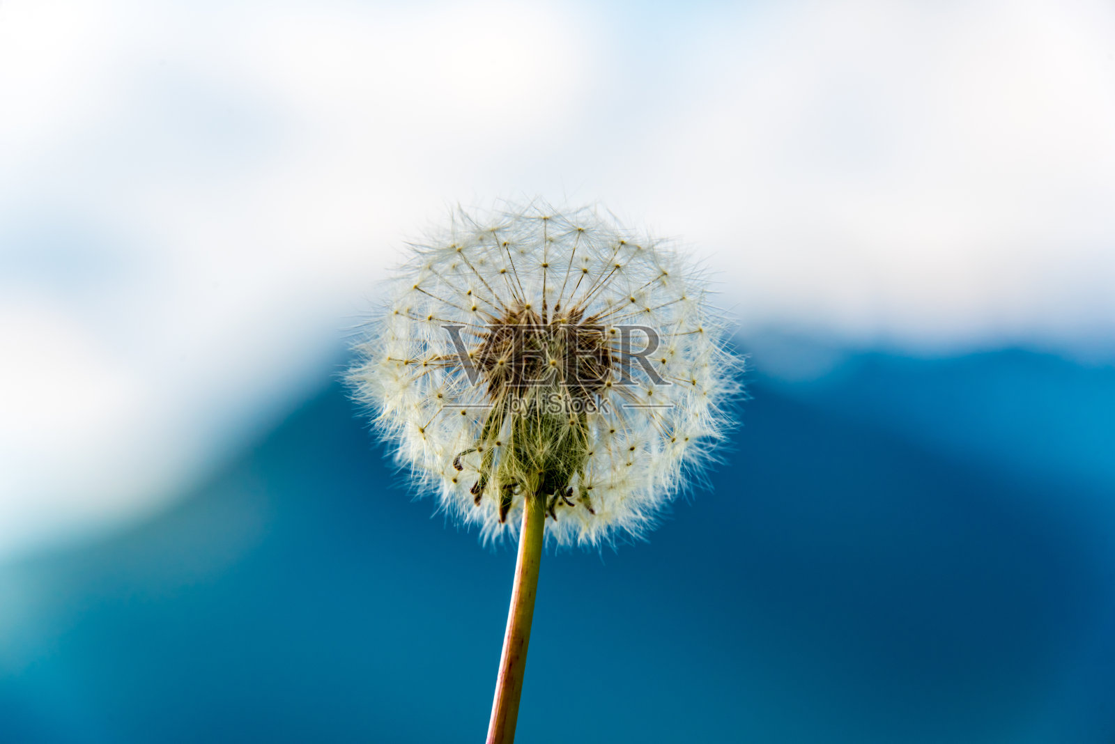 勒文扎恩照片摄影图片