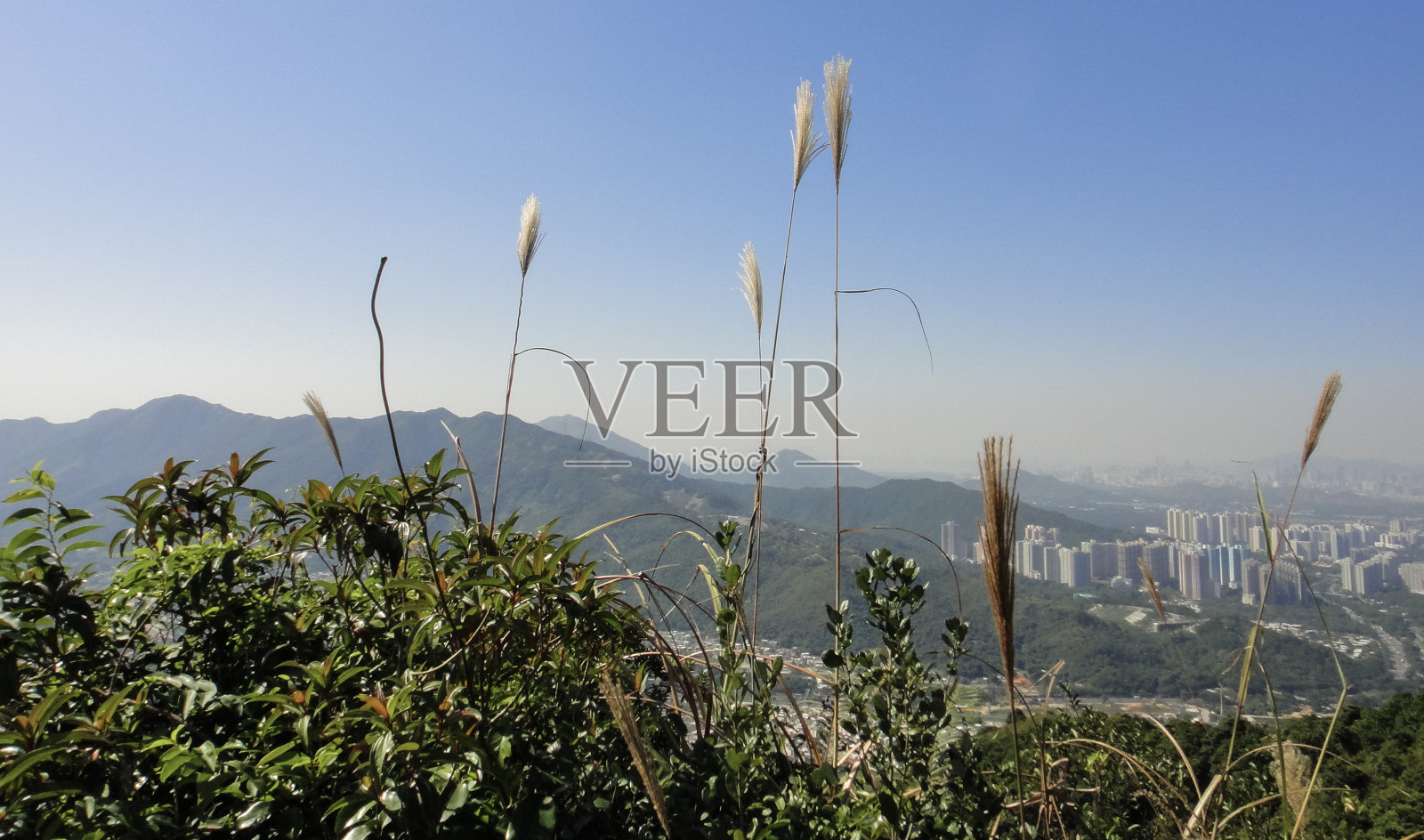 香港自然。山脉，丘陵和山峰照片摄影图片