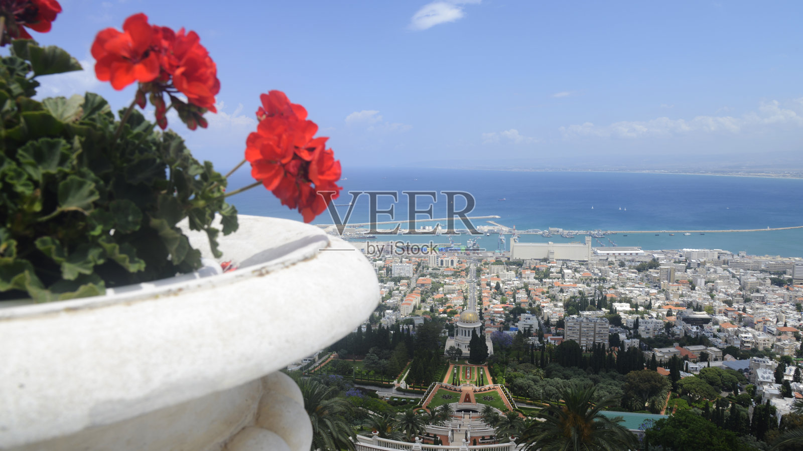 以色列海法巴海花园的鲜花照片摄影图片