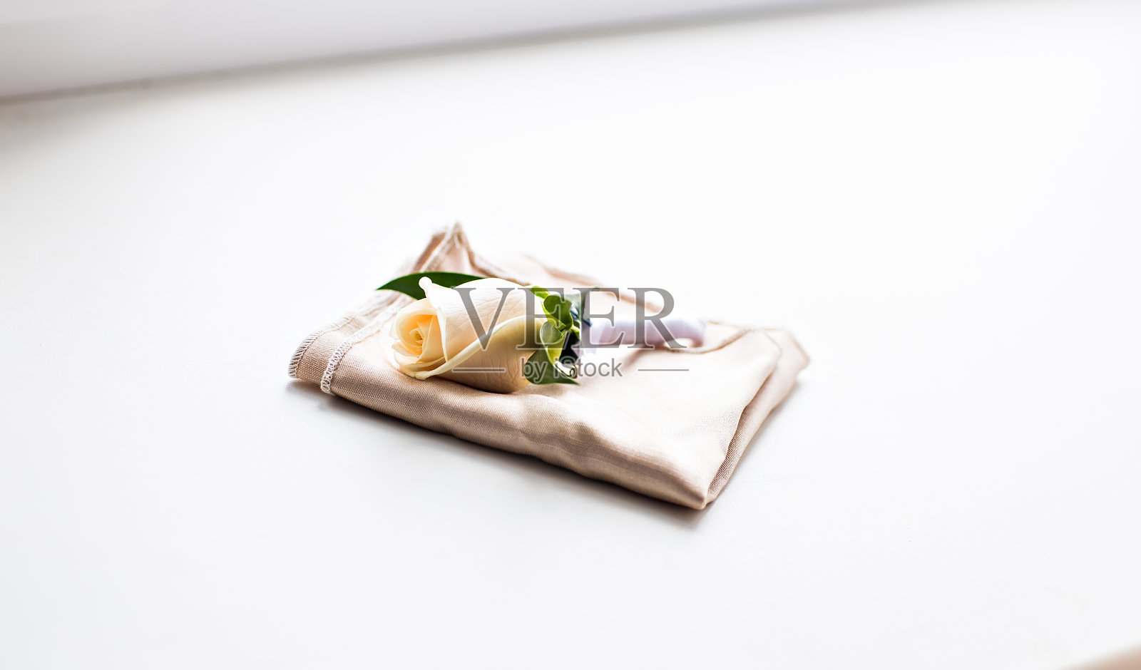 小花照片摄影图片