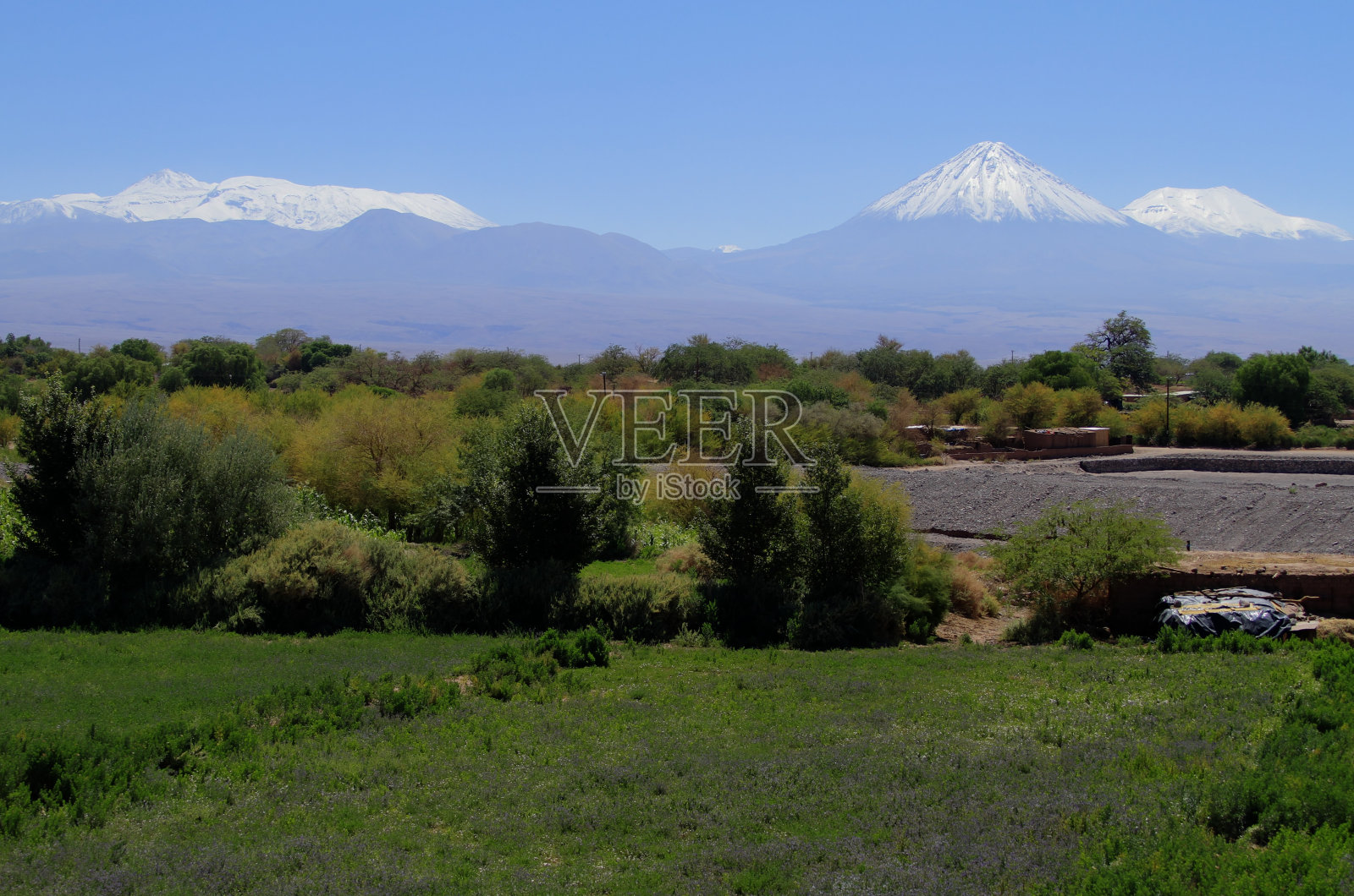 阿塔卡马盐照片摄影图片