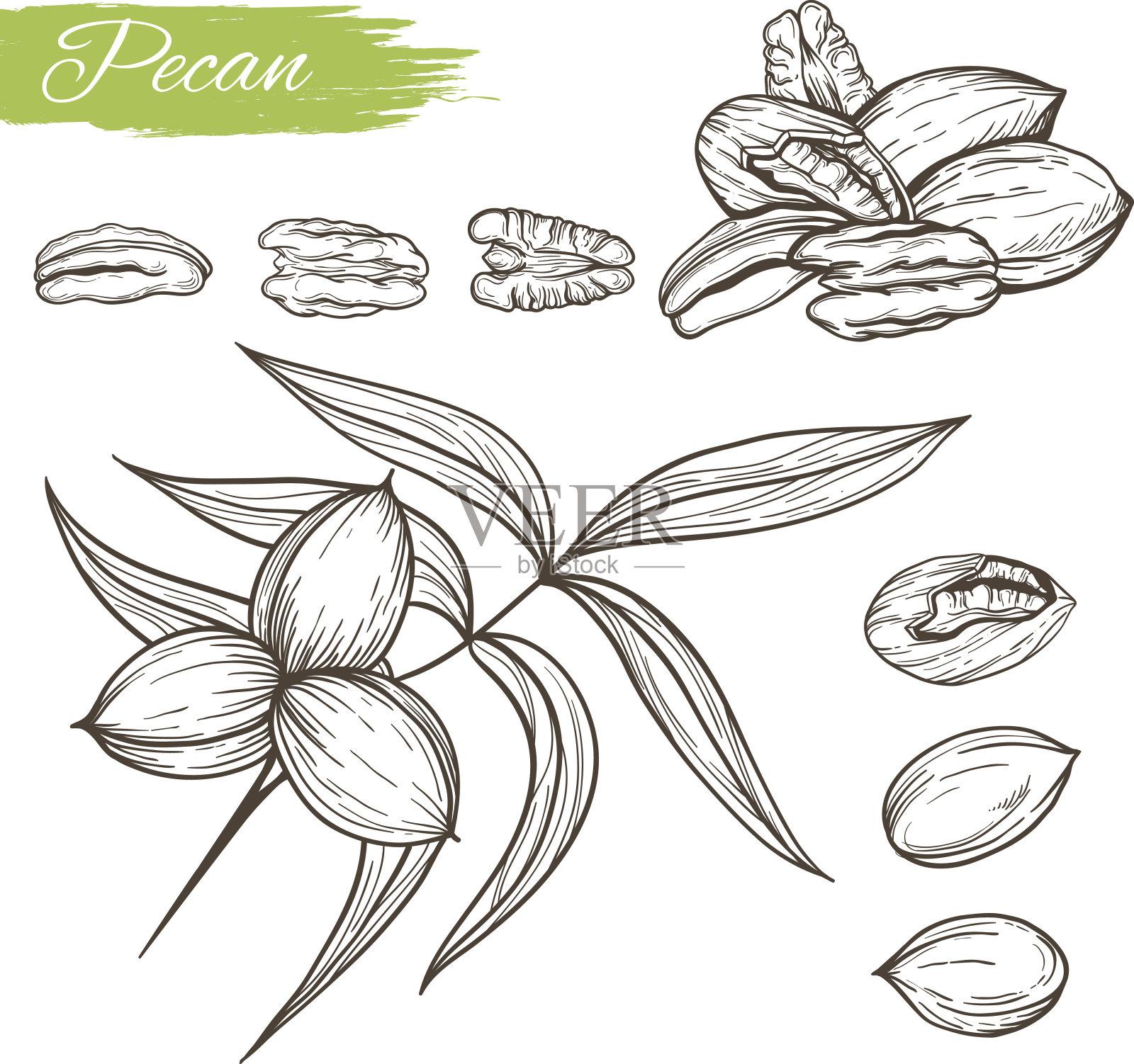 向量草图插画图片素材