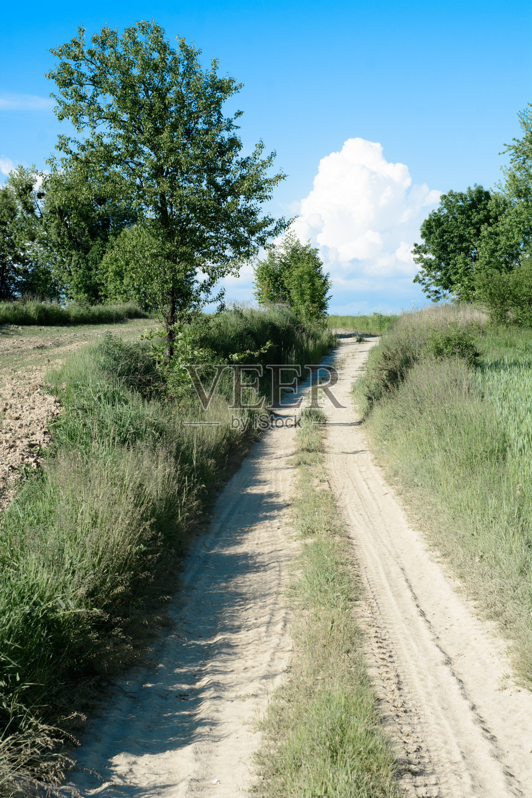 晚春的乡村景观照片摄影图片