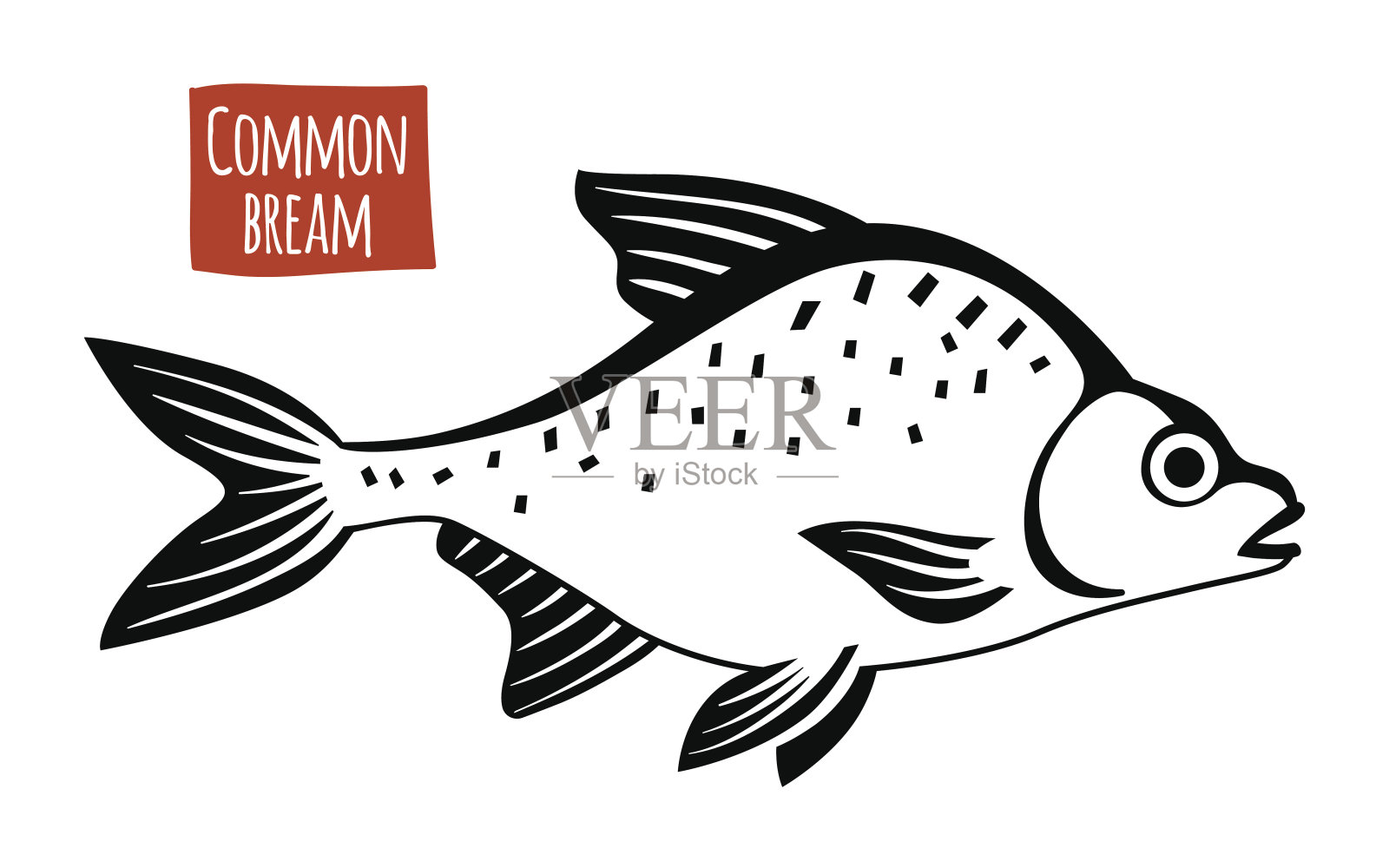 普通的鲷矢量卡通插图插画图片素材