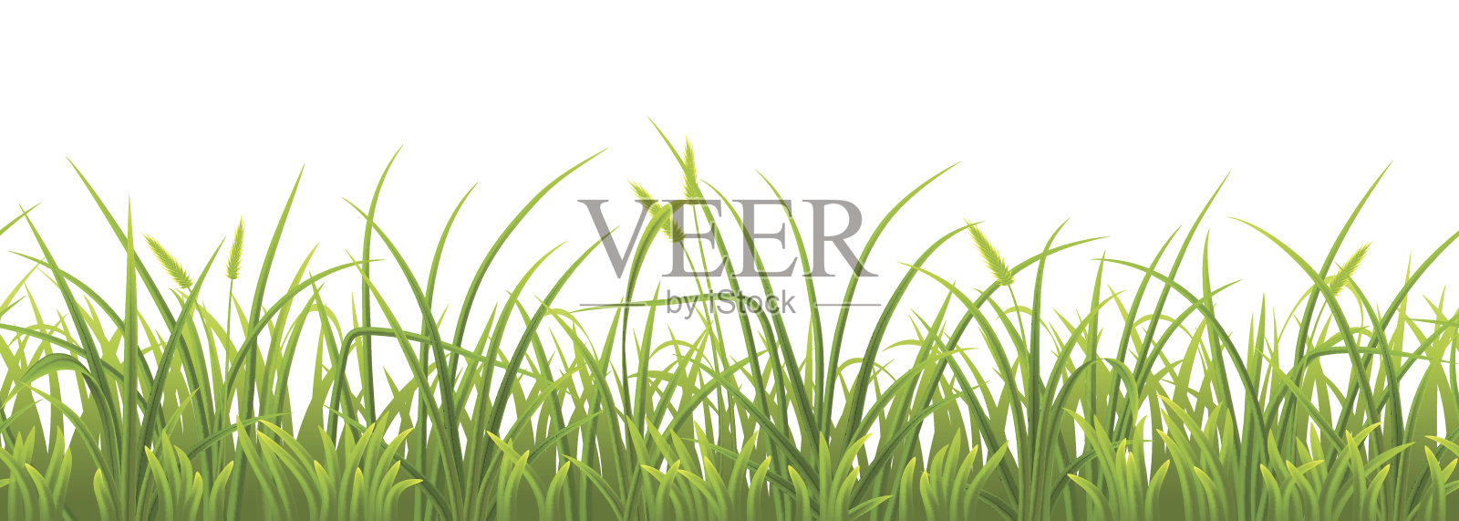 无缝春绿草插画图片素材