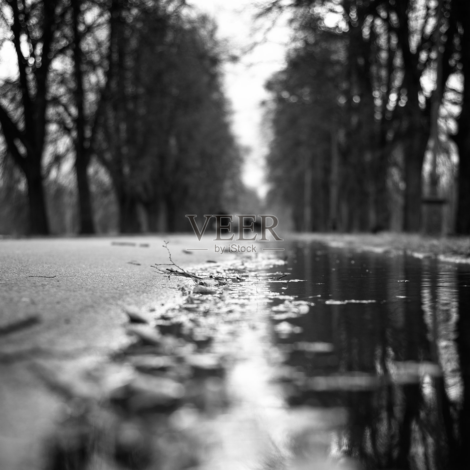 公园照片摄影图片