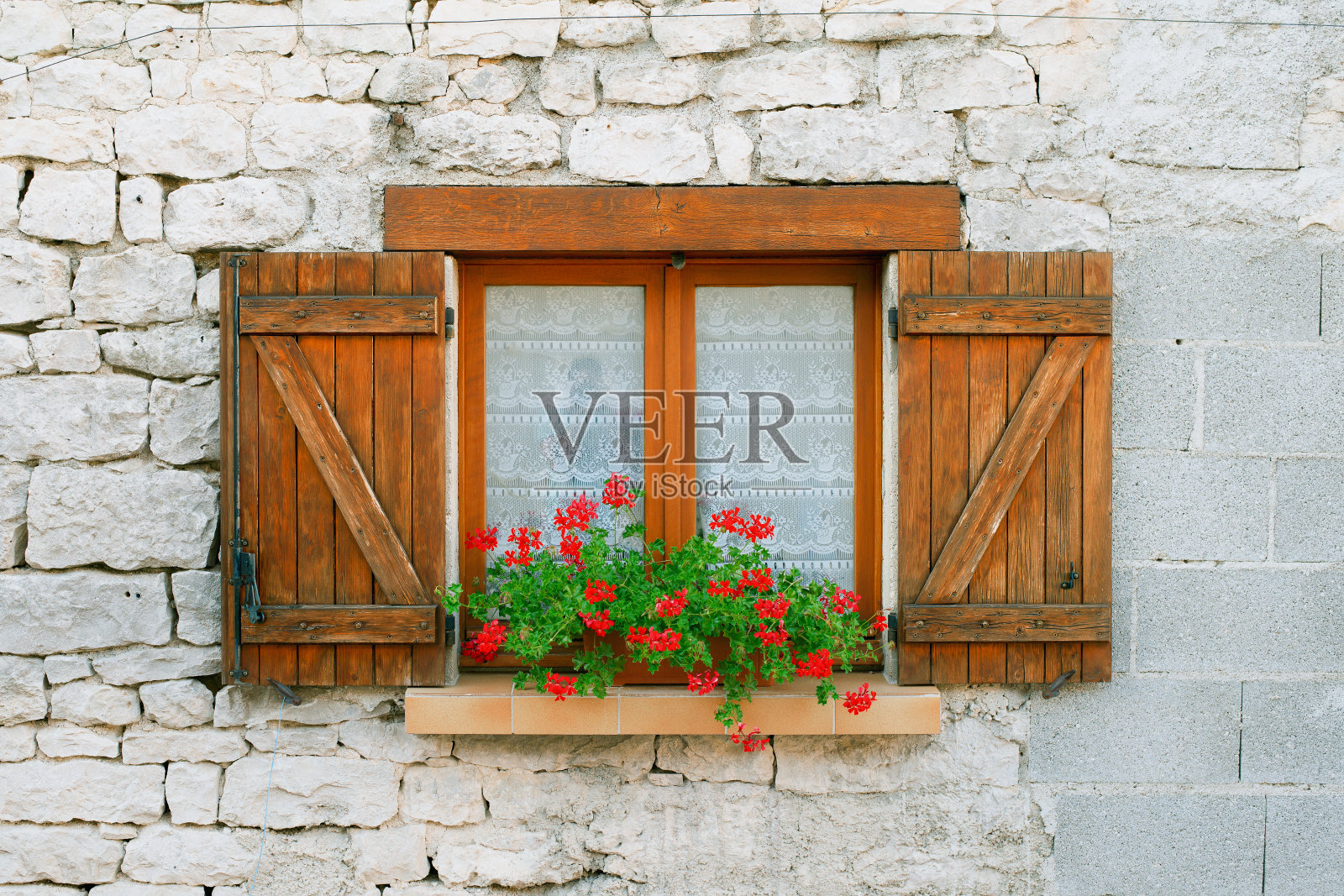 窗户上的天竺葵花照片摄影图片