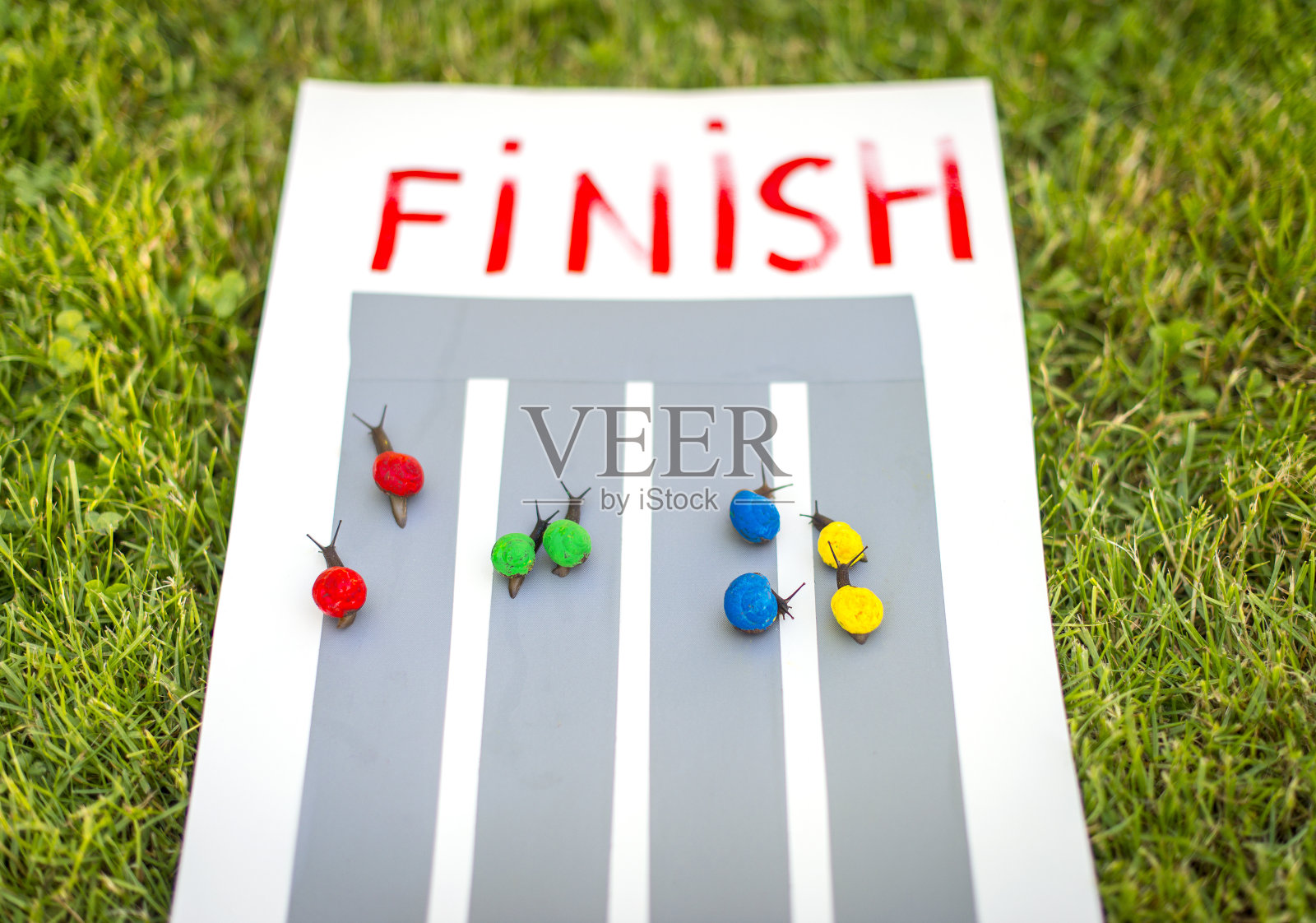 蜗牛赛跑。业务团队的概念。照片摄影图片