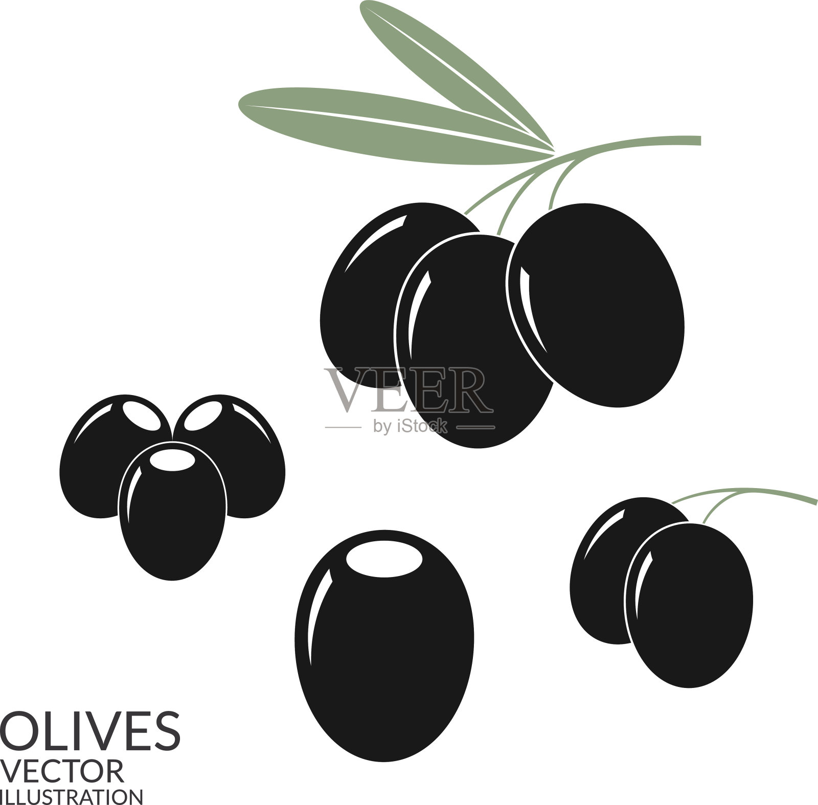 黑橄榄。集插画图片素材