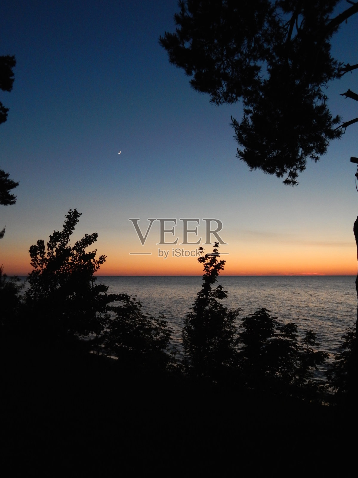 夕阳透过树照片摄影图片