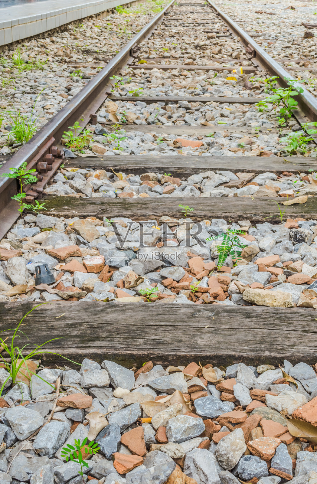 铁路线穿过火车站照片摄影图片