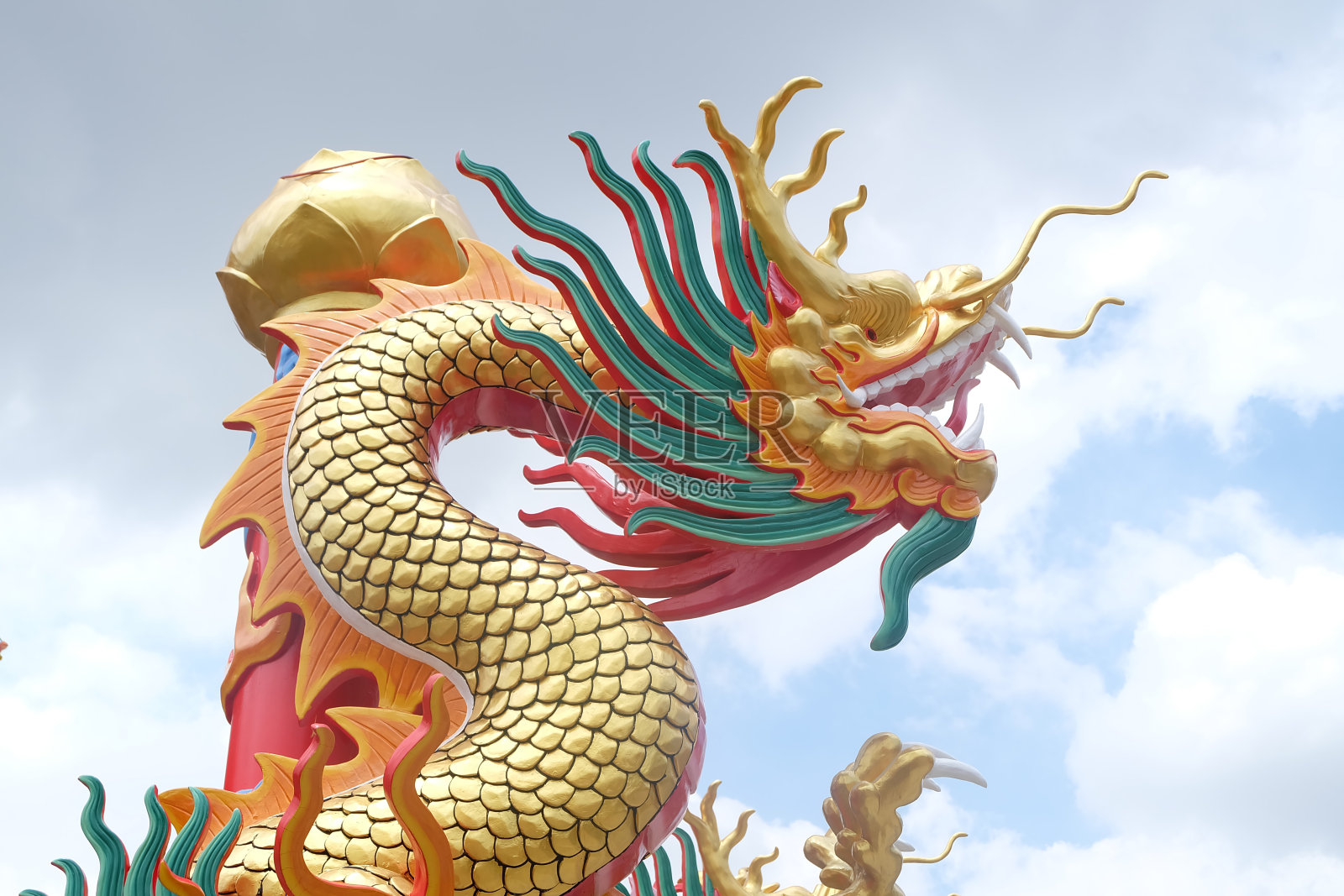 中国龙像照片摄影图片