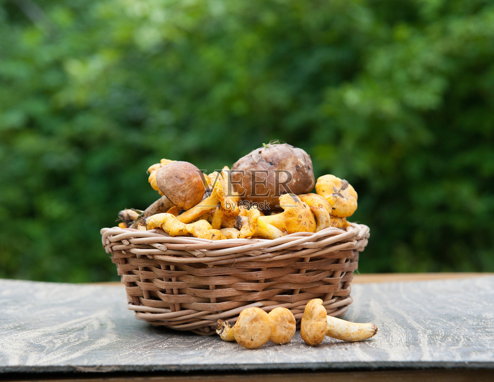篮子里的蘑菇照片摄影图片