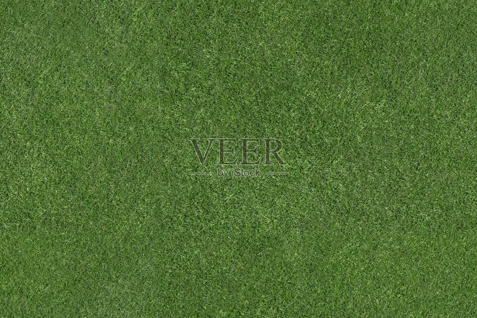 草地插画图片素材