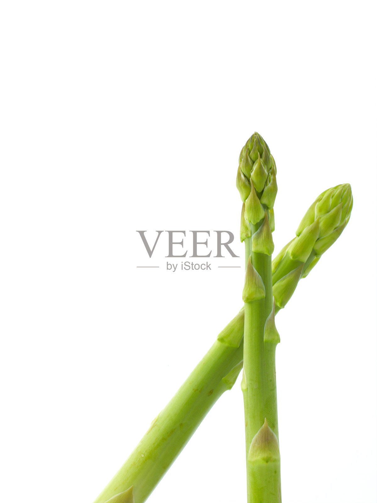 芦笋照片摄影图片