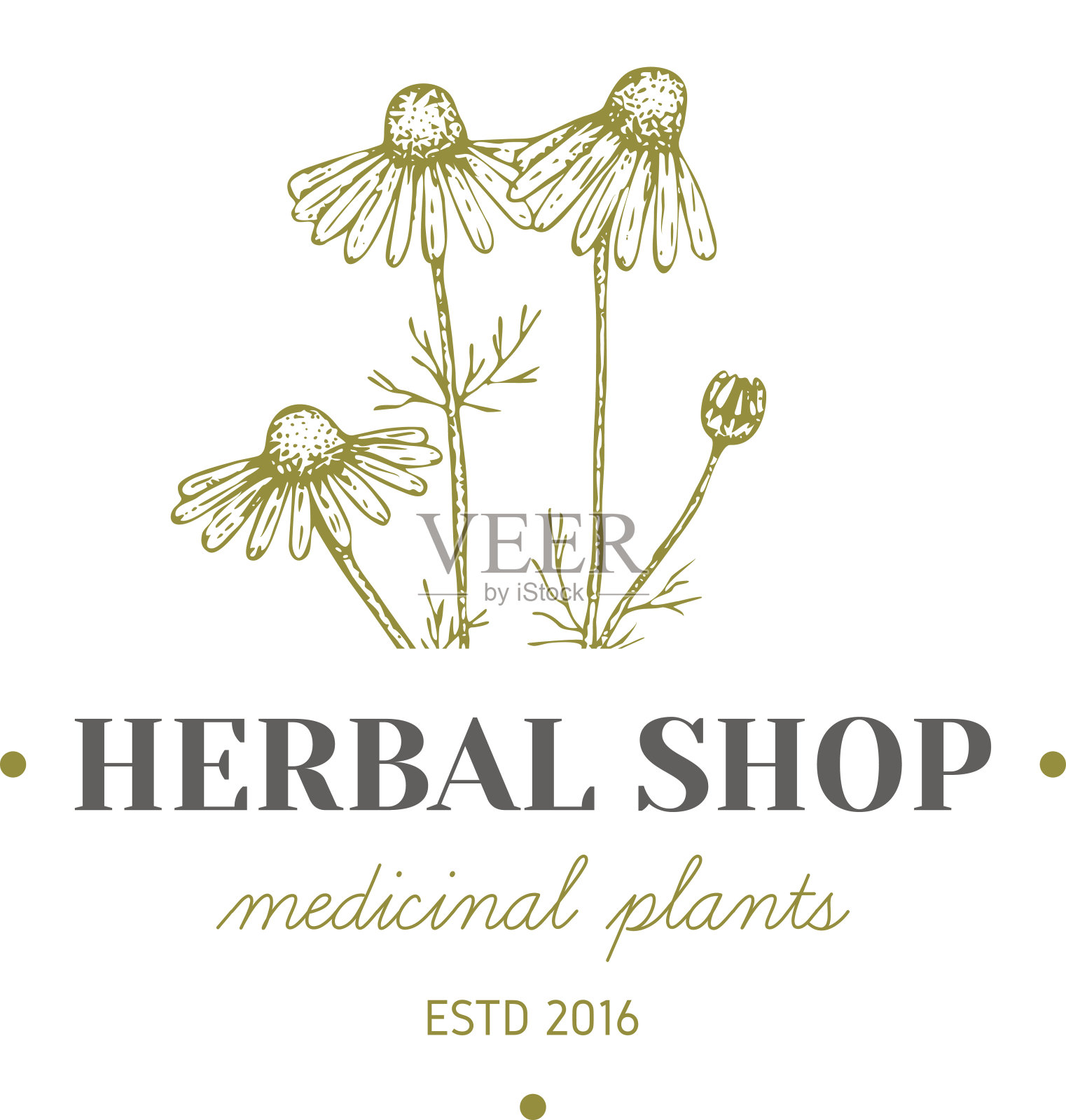 Herbal标志。设计元素图片