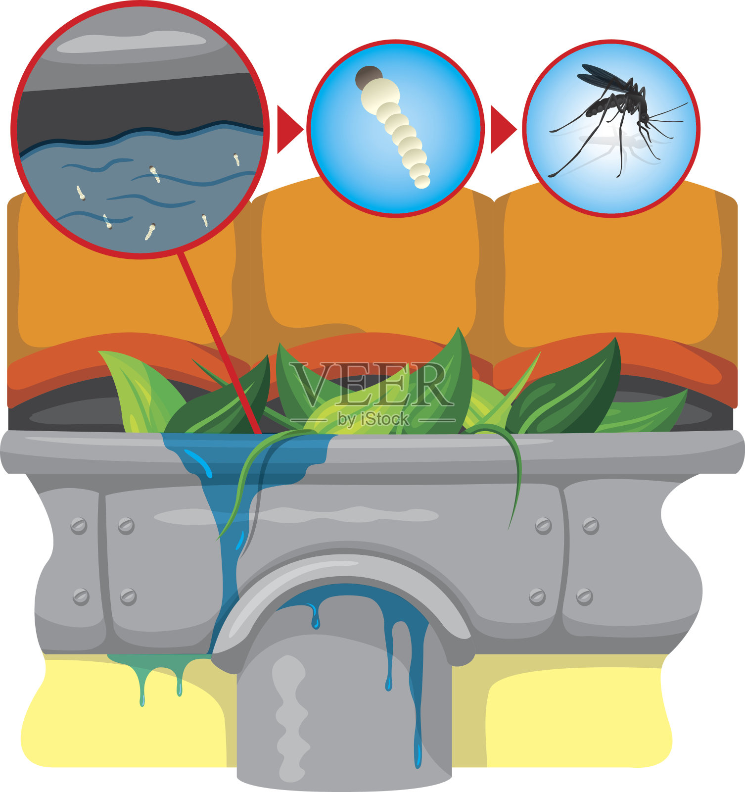 水槽与静水与蚊子高跷焦点插画图片素材