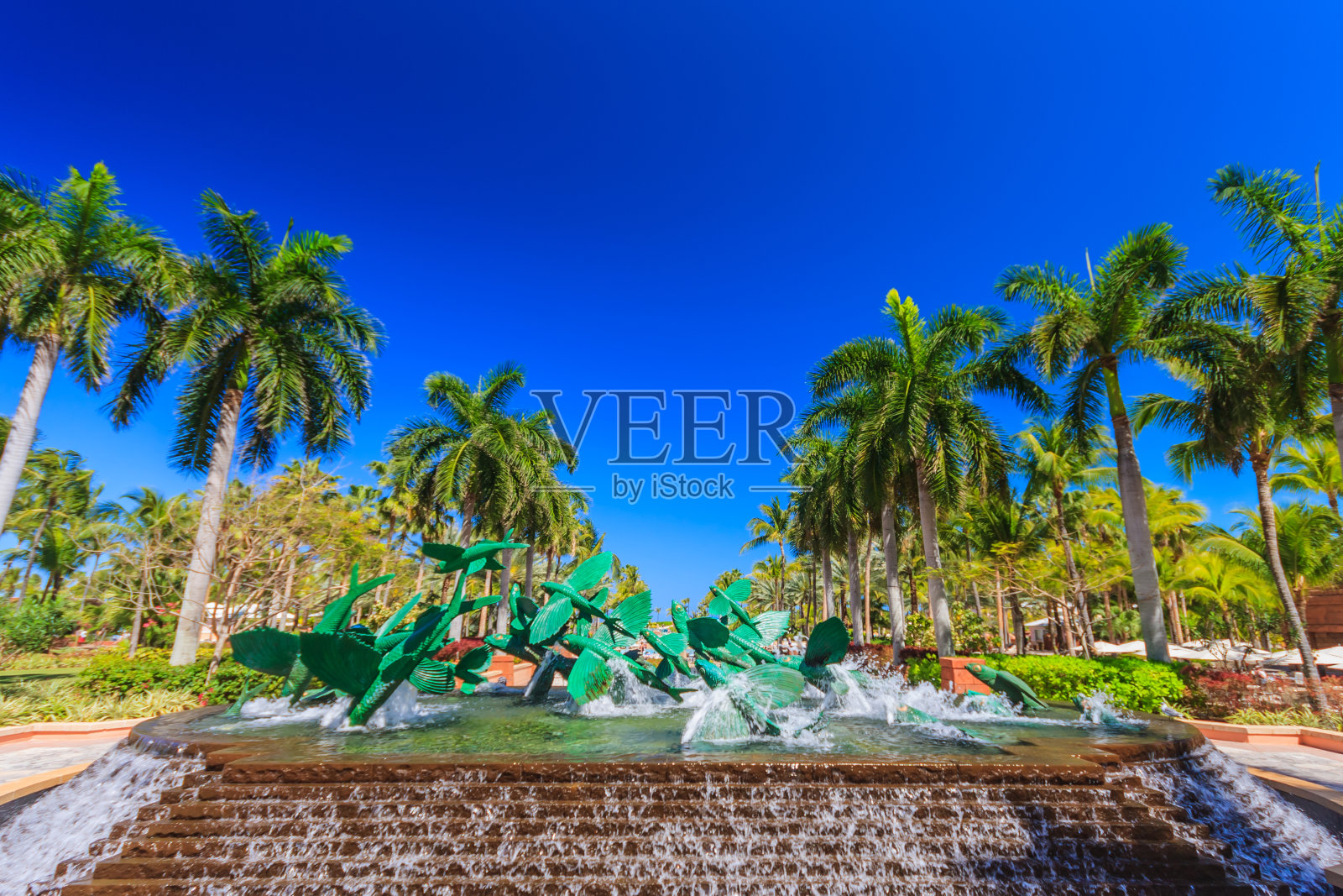 秋天的叶子照片摄影图片