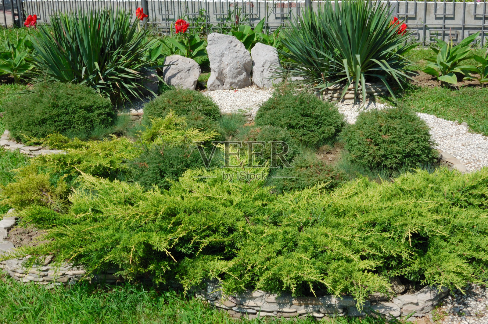 花园照片摄影图片