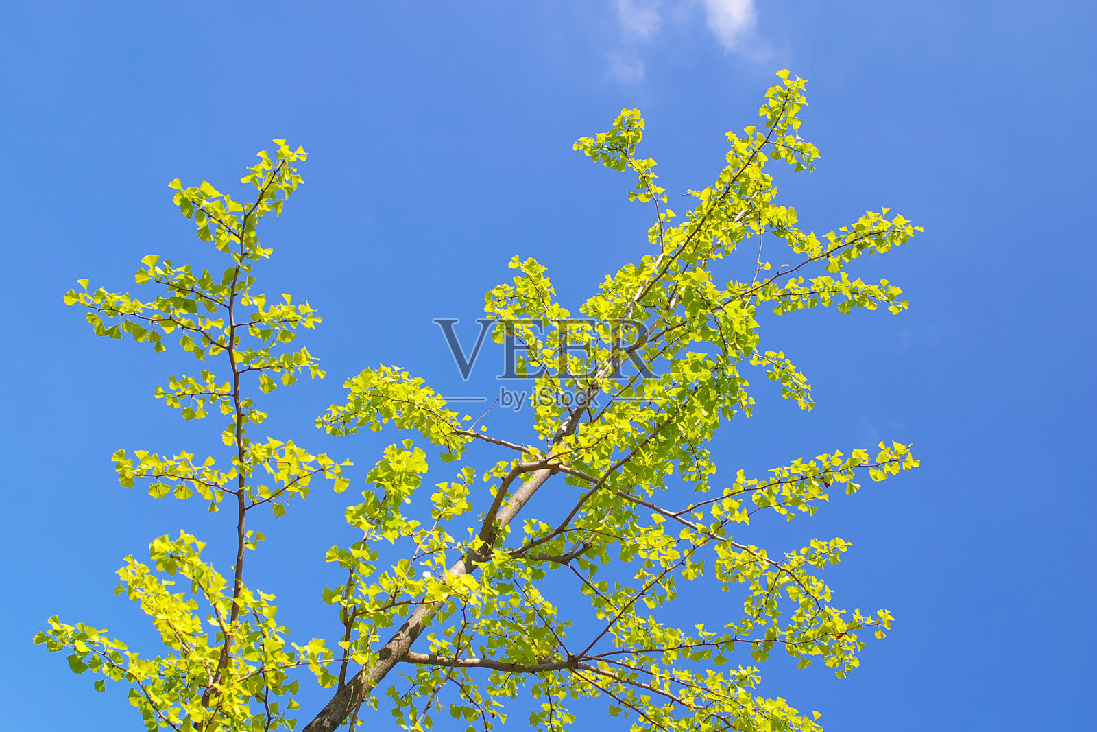 蓝色的天空照片摄影图片