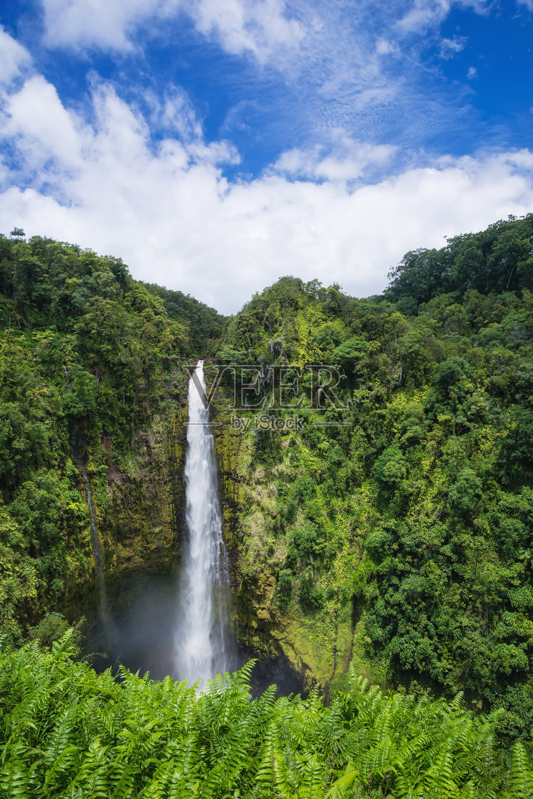 夏威夷大岛阿卡卡瀑布州立公园照片摄影图片