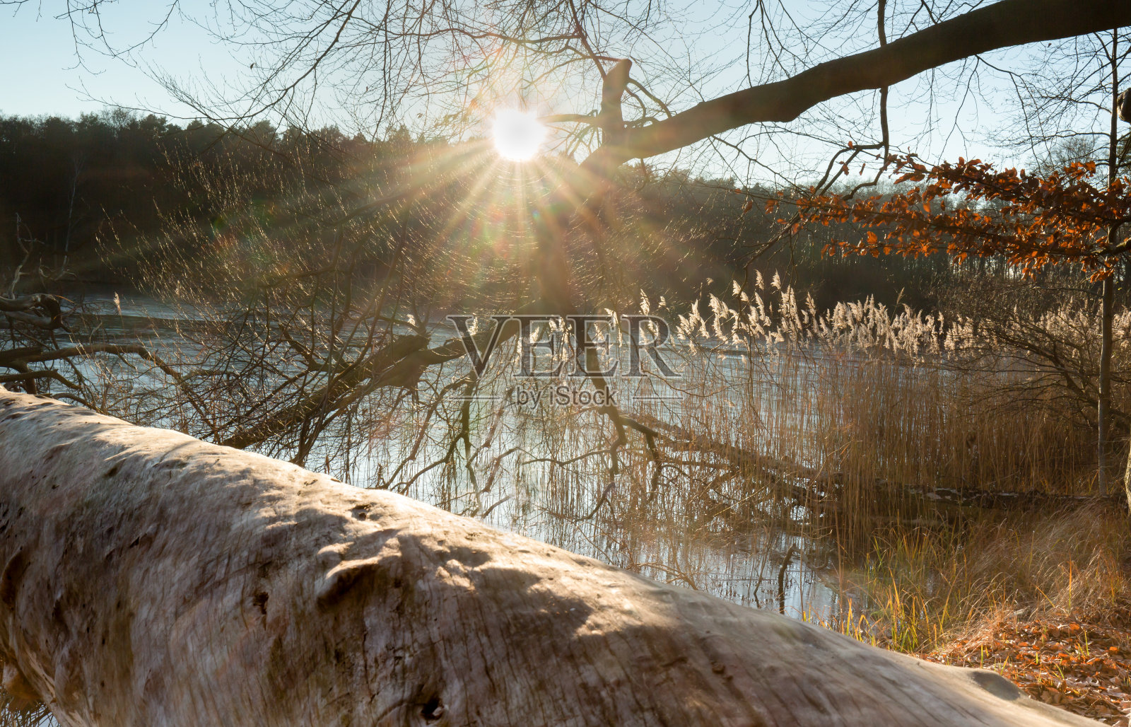 冬日心情无雪照片摄影图片